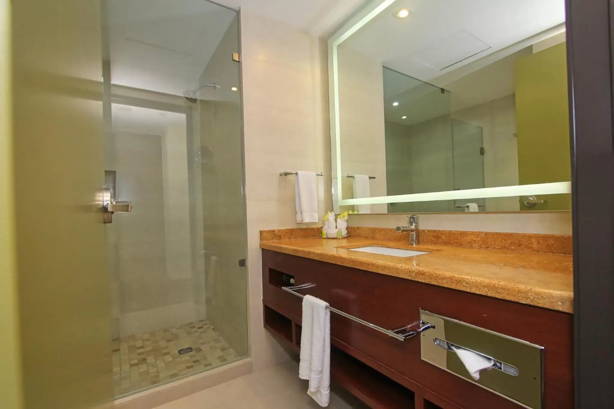 Photo of the whole room, Bathroom in Holiday Inn Leon, an IHG Hotel