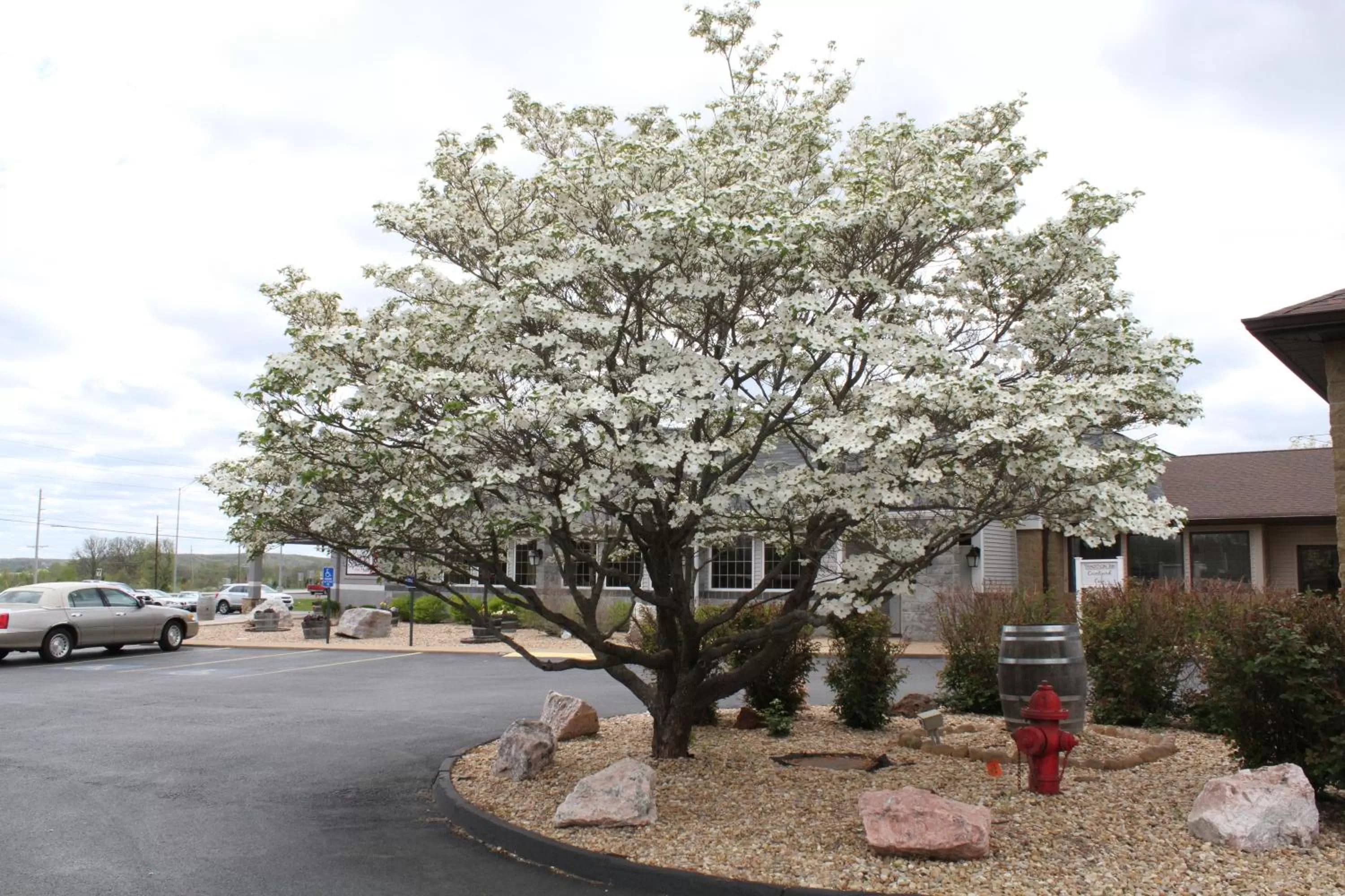 Facade/entrance in Baymont Inn and Suites by Wyndham Farmington, MO