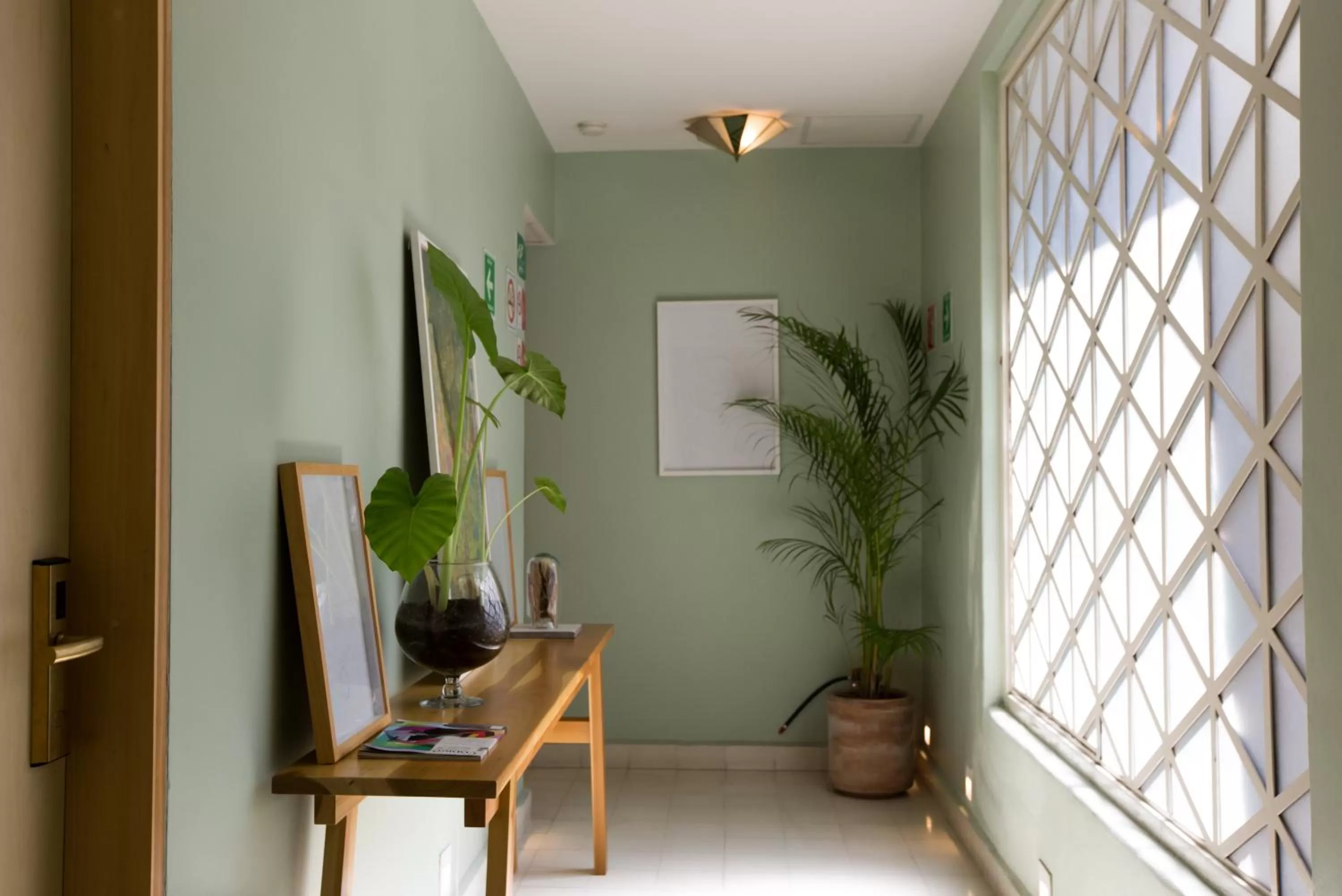 Other in Casa Nuevo Leon