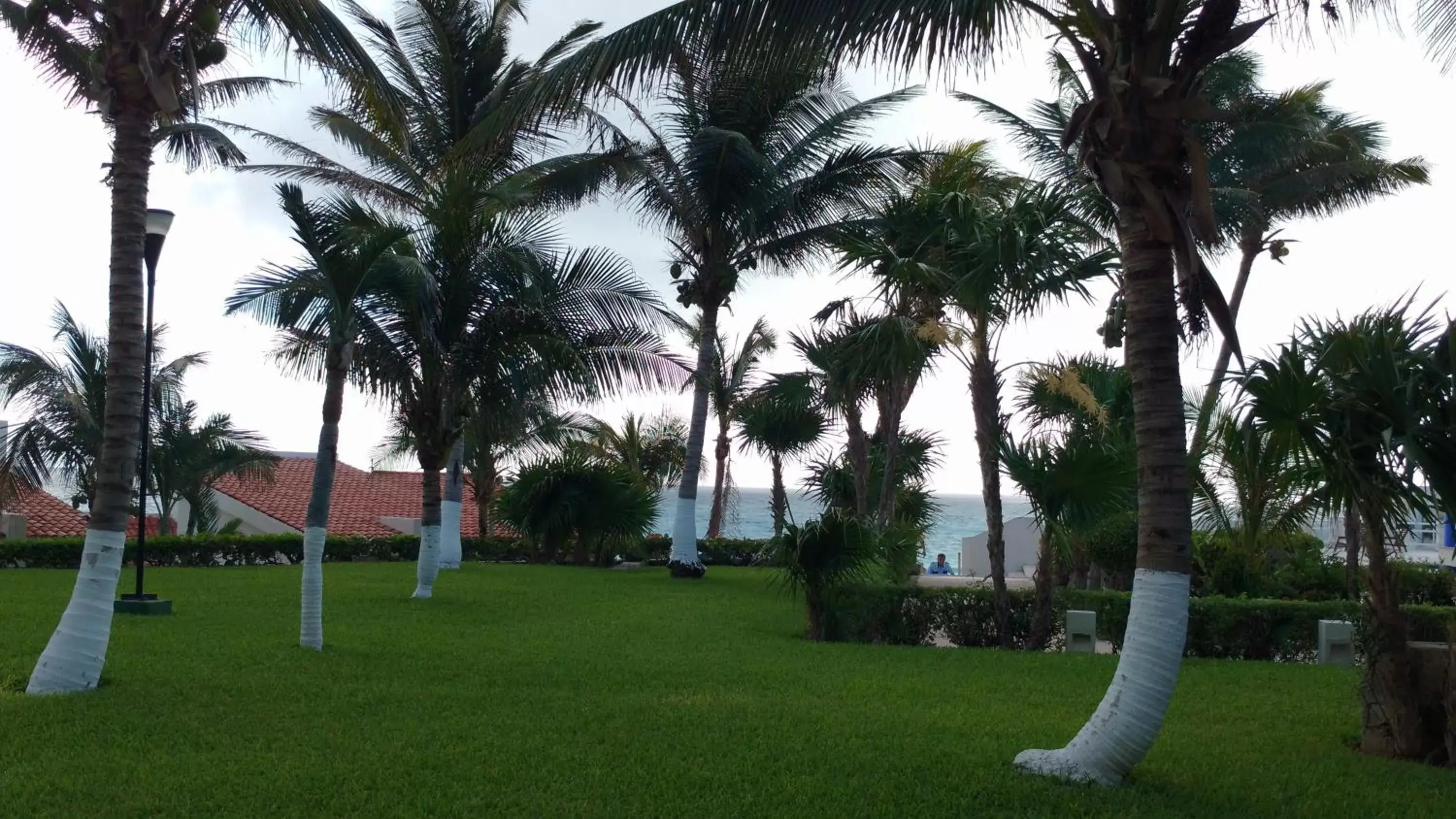 Garden in Apartment Ocean Front Cancun