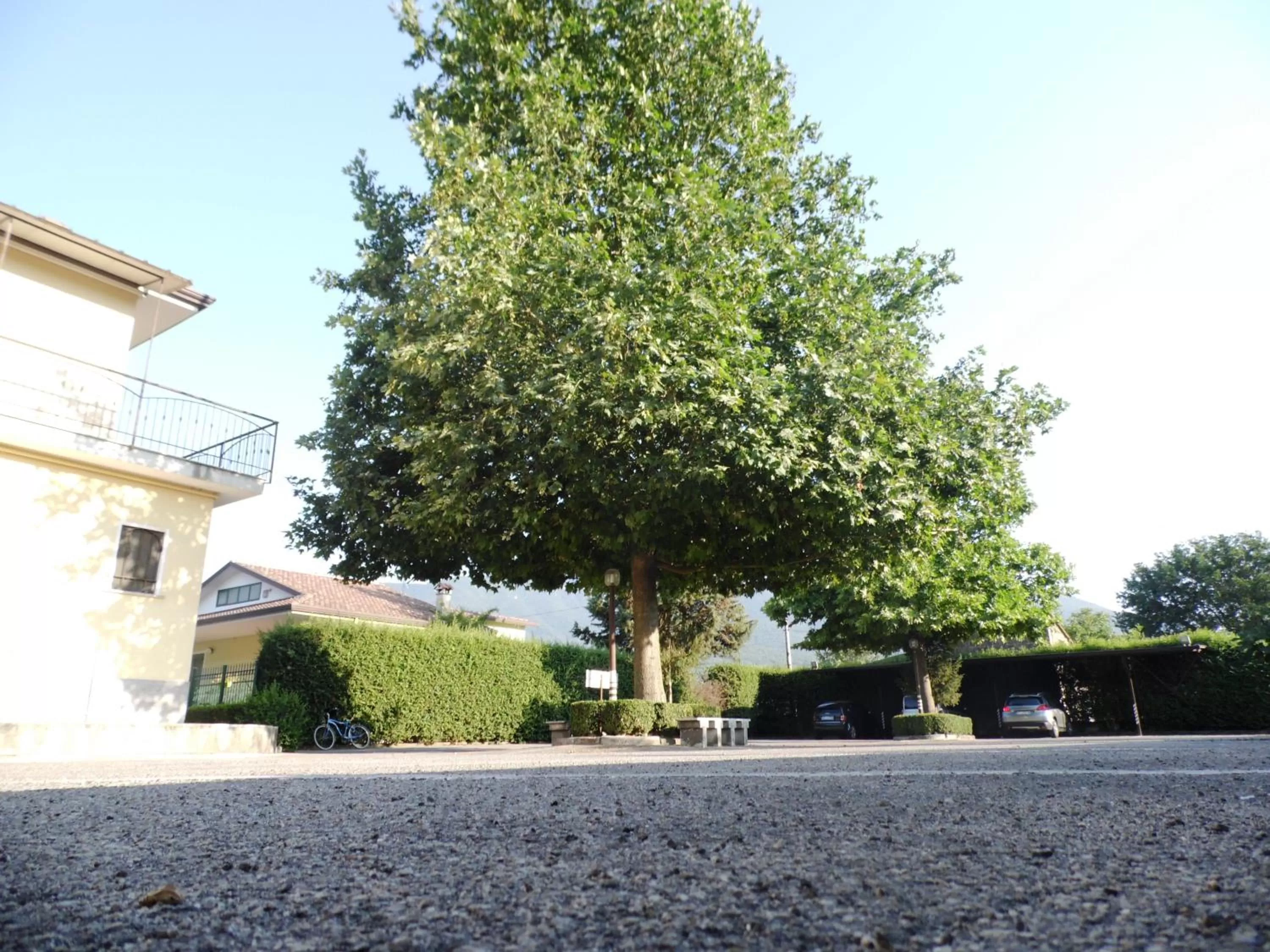 Entertainment in Hotel Rosso Di Sera