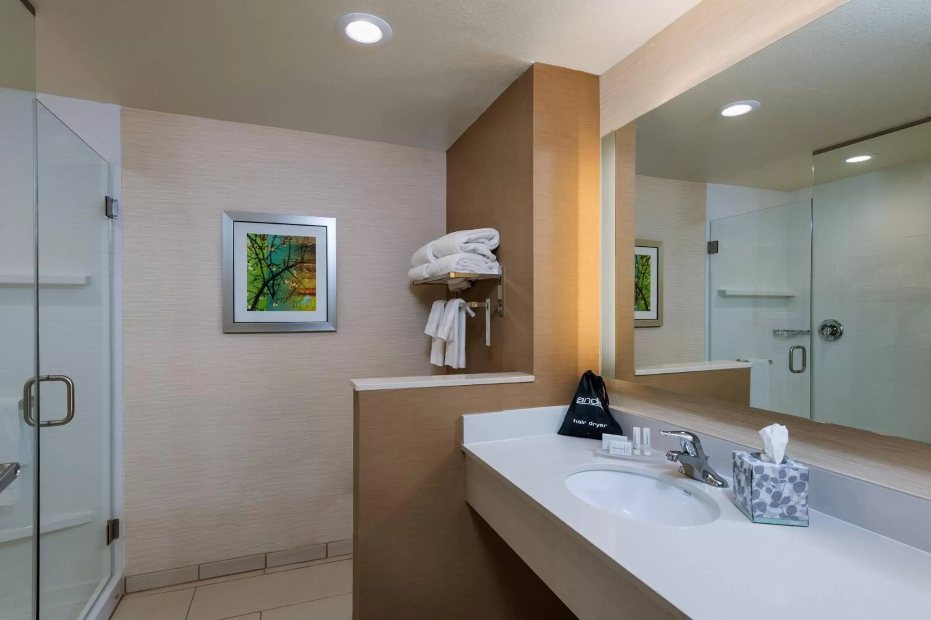 Bathroom in Fairfield Inn & Suites by Marriott Corpus Christi Aransas Pass