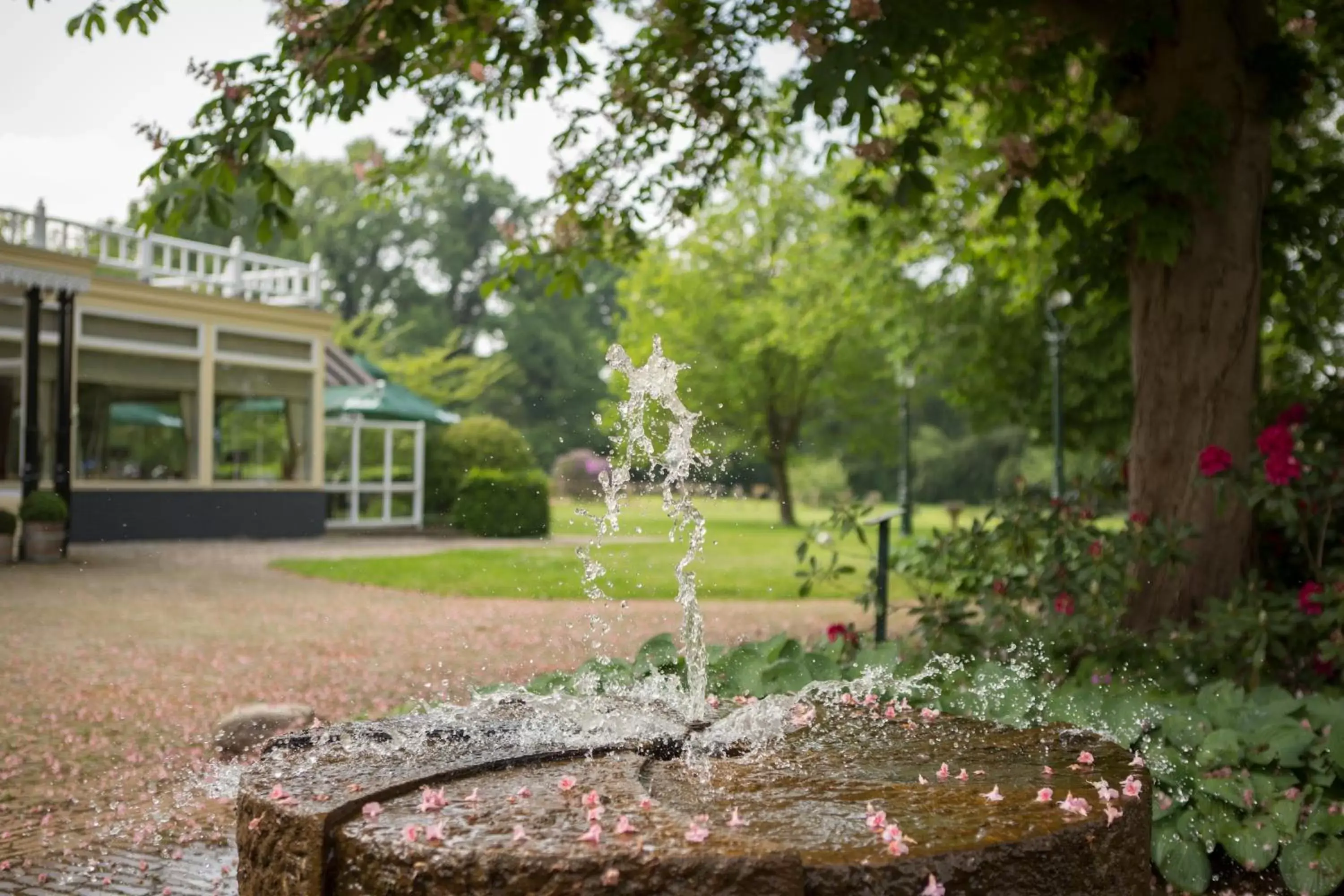 Other, Garden in Landgoed Hotel & Restaurant Carelshaven