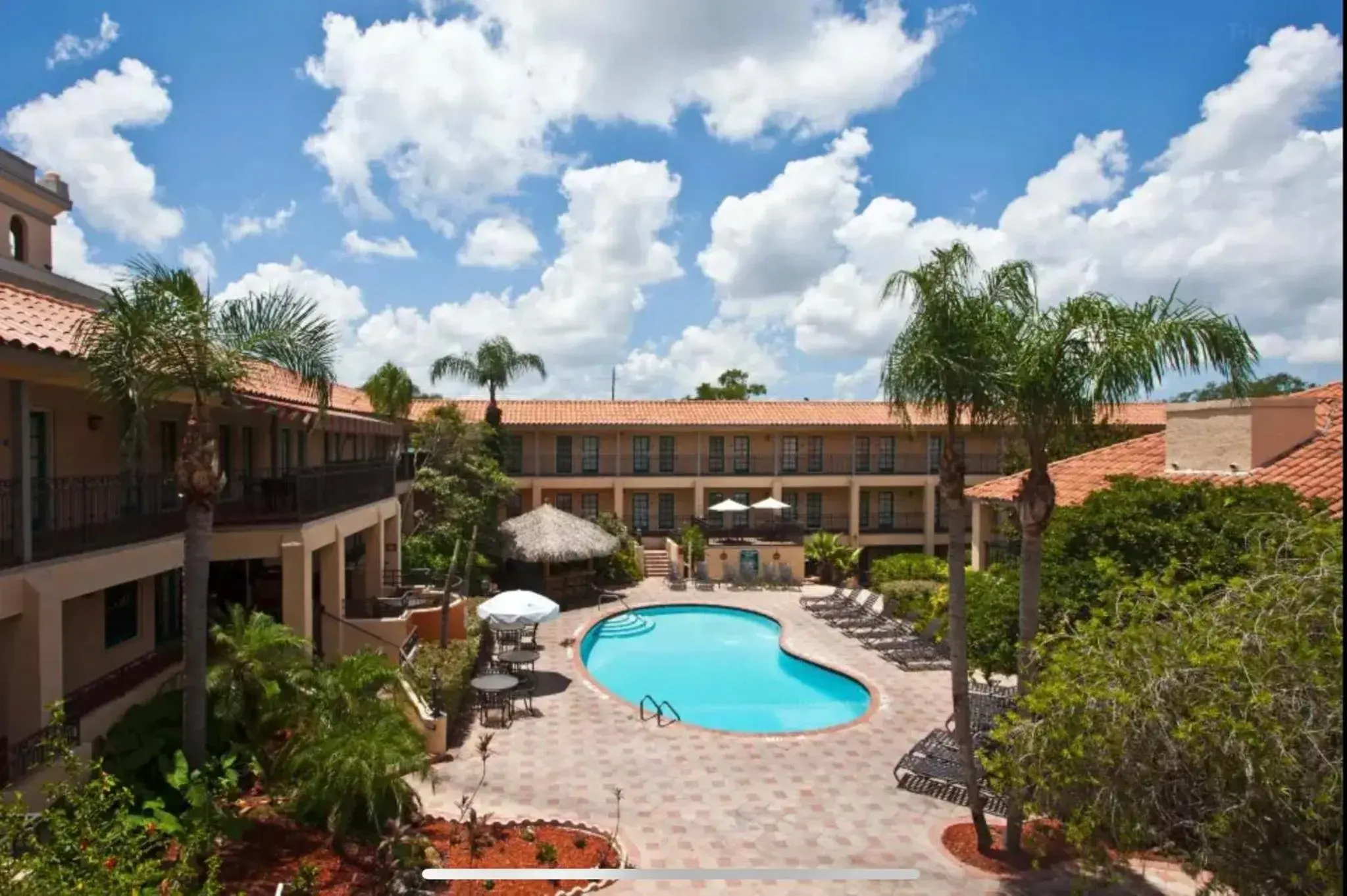 Swimming pool, Pool View in Red Roof Inn PLUS & Suites Tampa