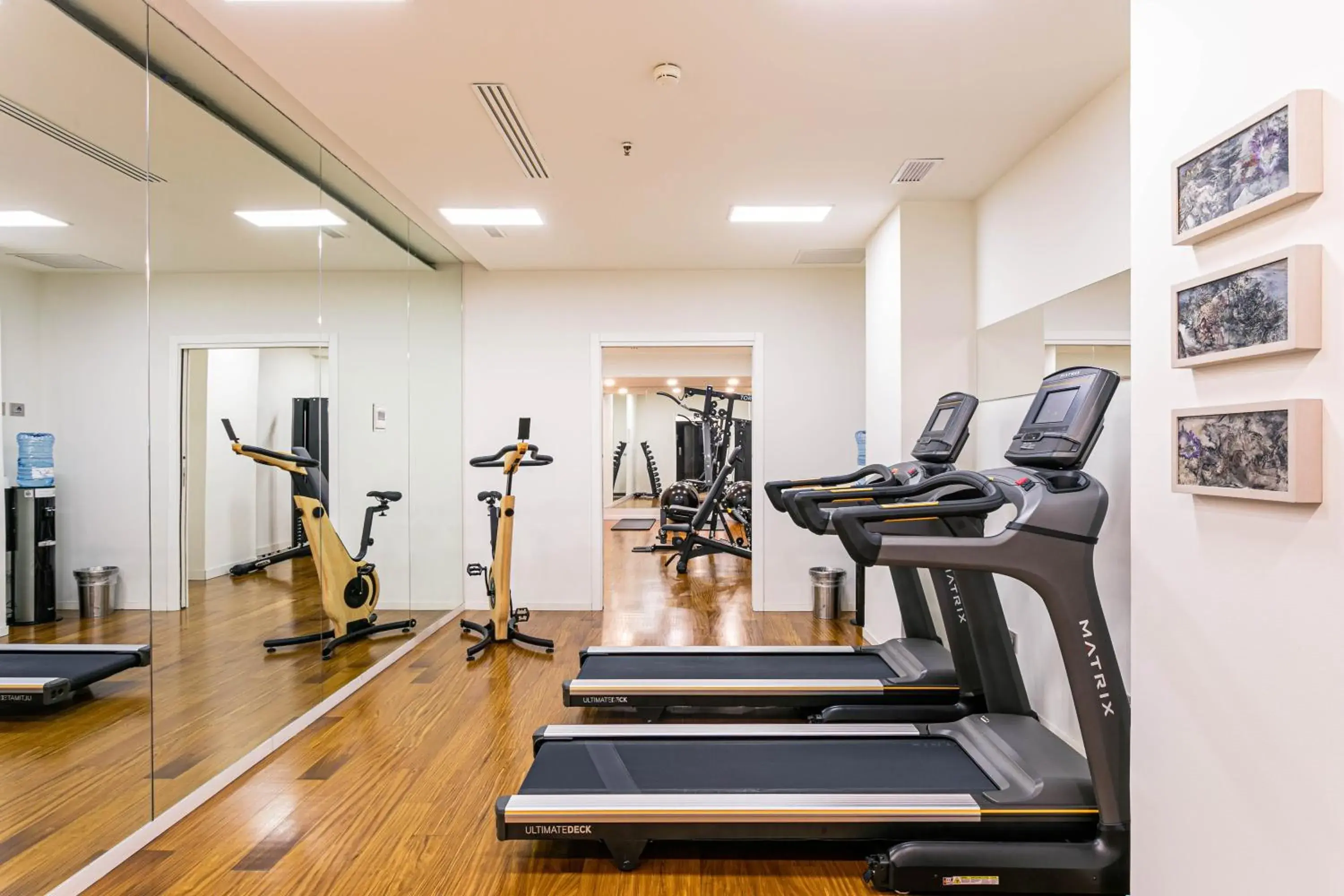 Fitness centre/facilities, Fitness Center/Facilities in Hotel Milano Scala