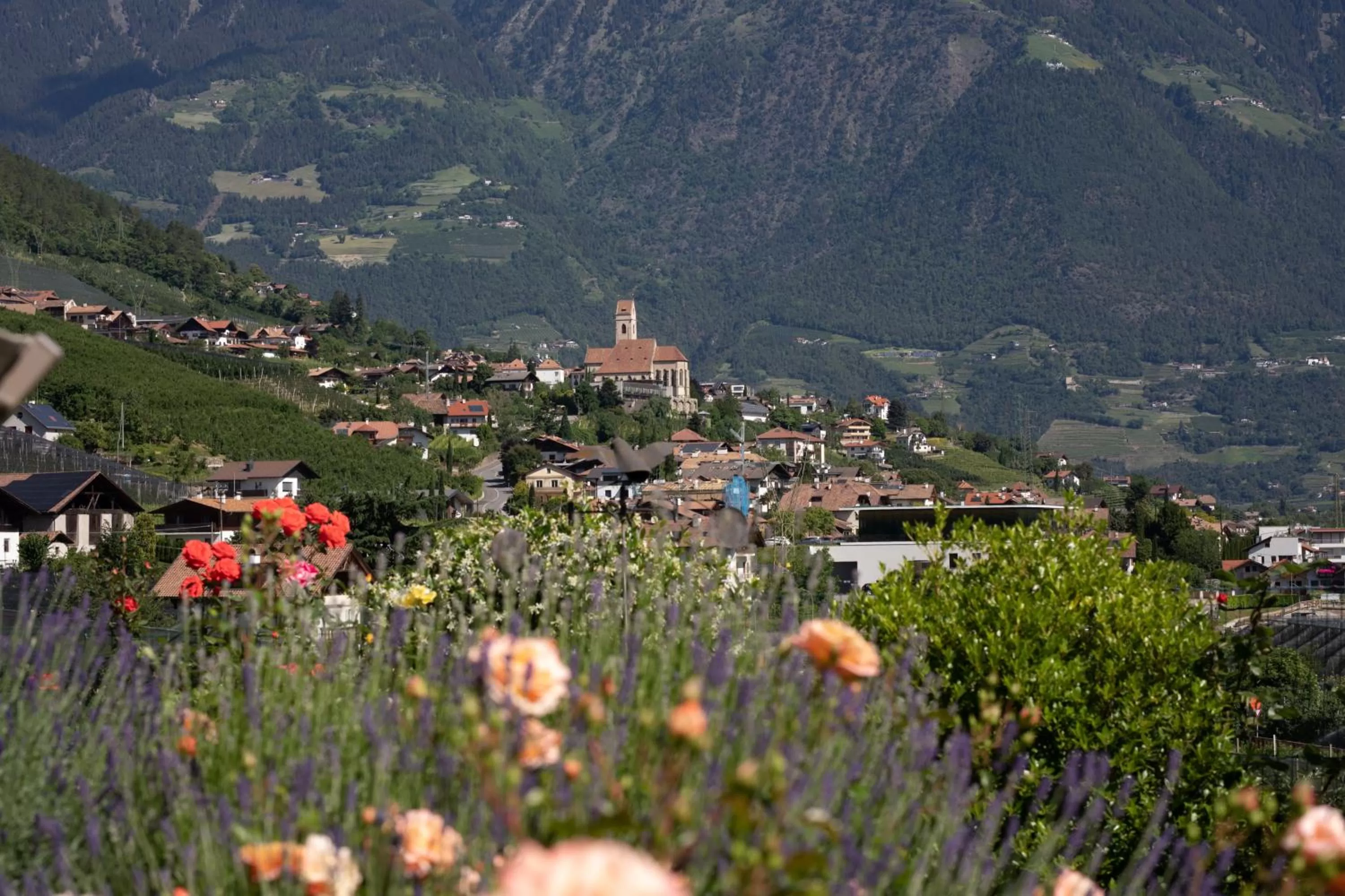 Garden in Residence Margreth