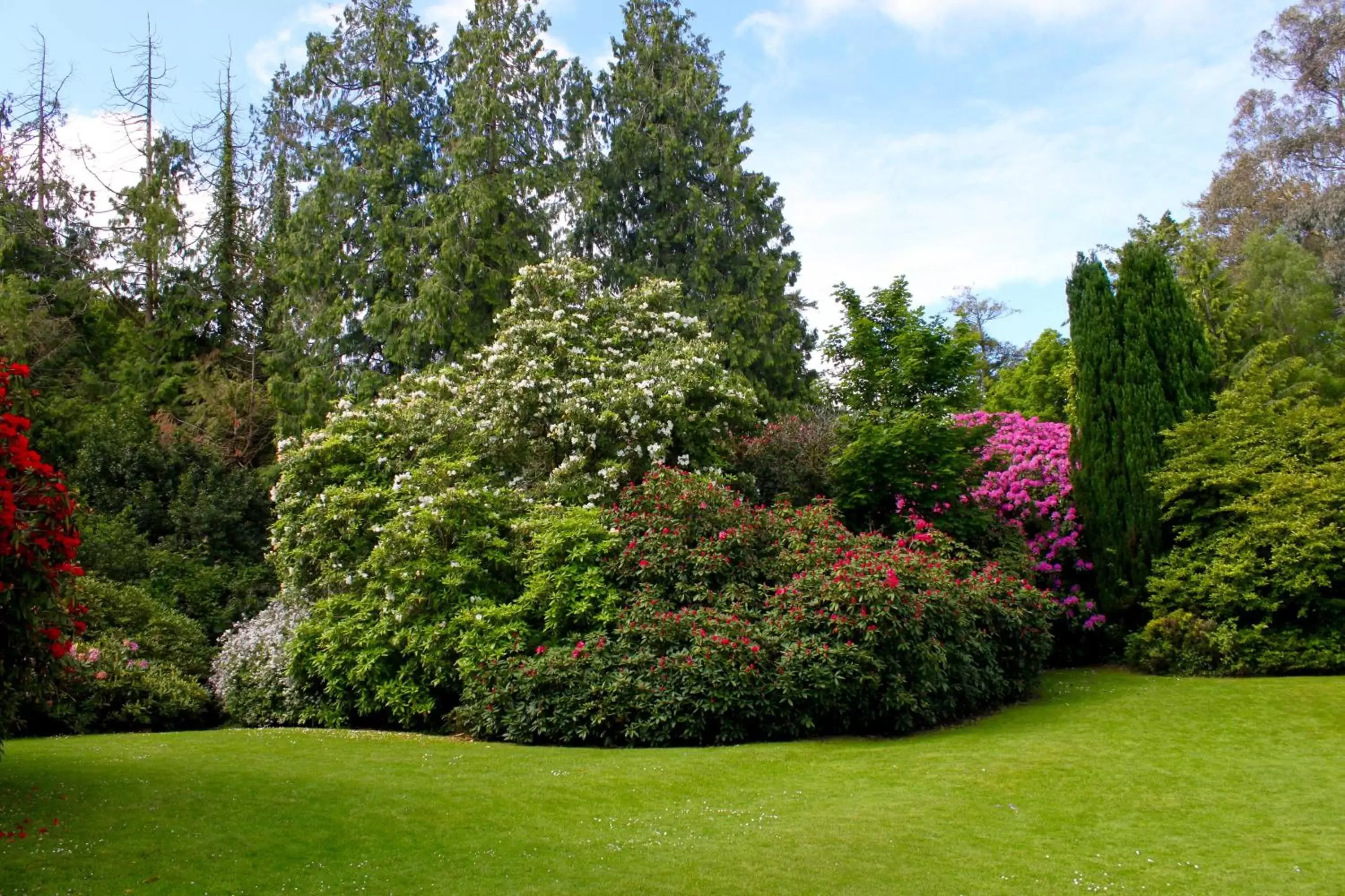 Garden in Maryborough Hotel & Spa