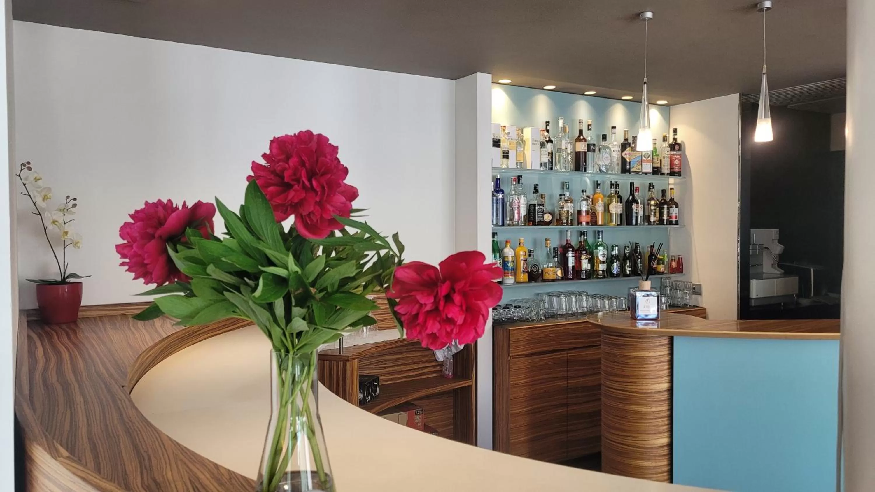 Lounge or bar in Hotel Europa Belluno