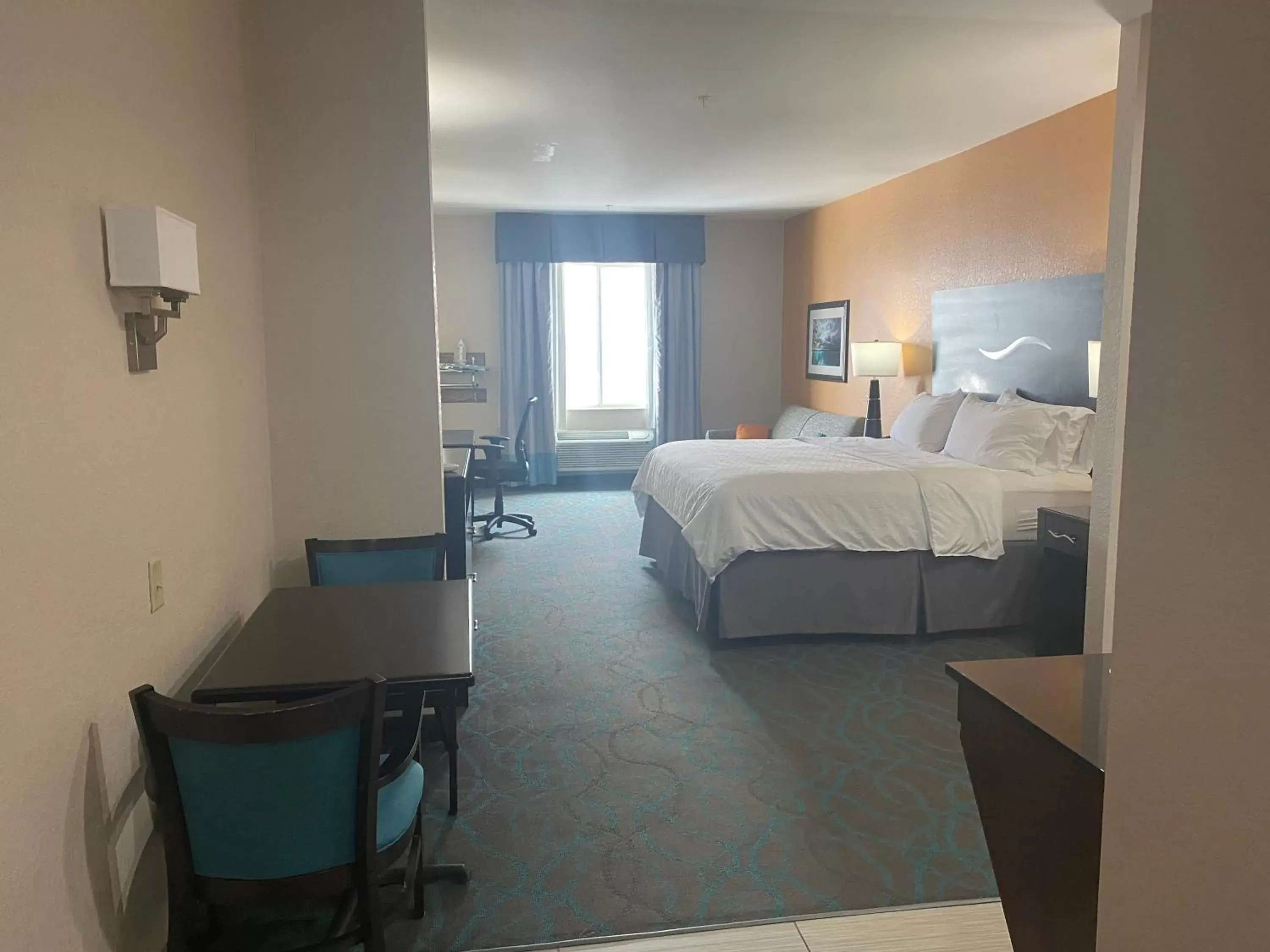 Photo of the whole room in Holiday Inn Express Hotel and Suites Fort Stockton, an IHG Hotel