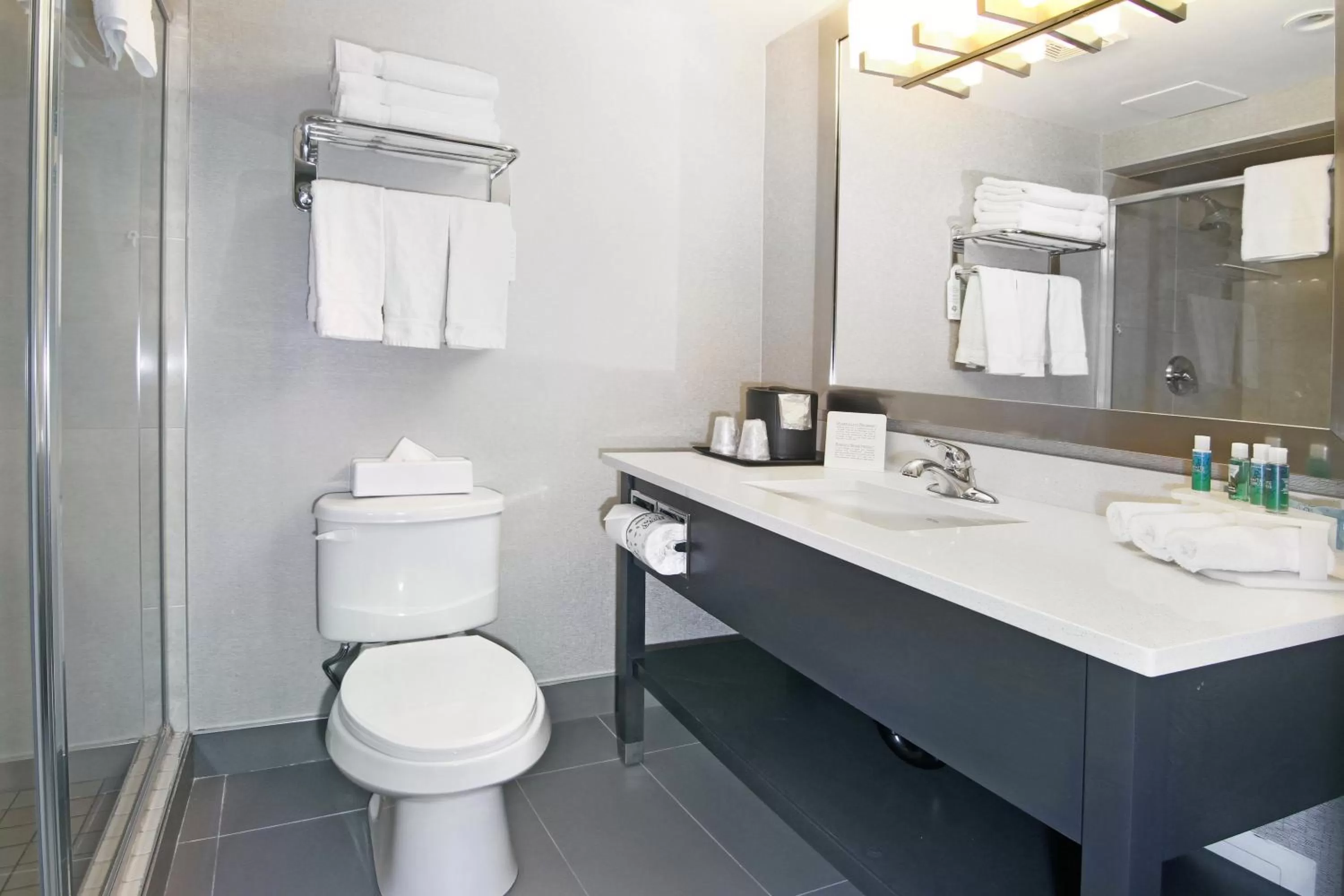 Bathroom in Holiday Inn Express and Suites Calgary by IHG