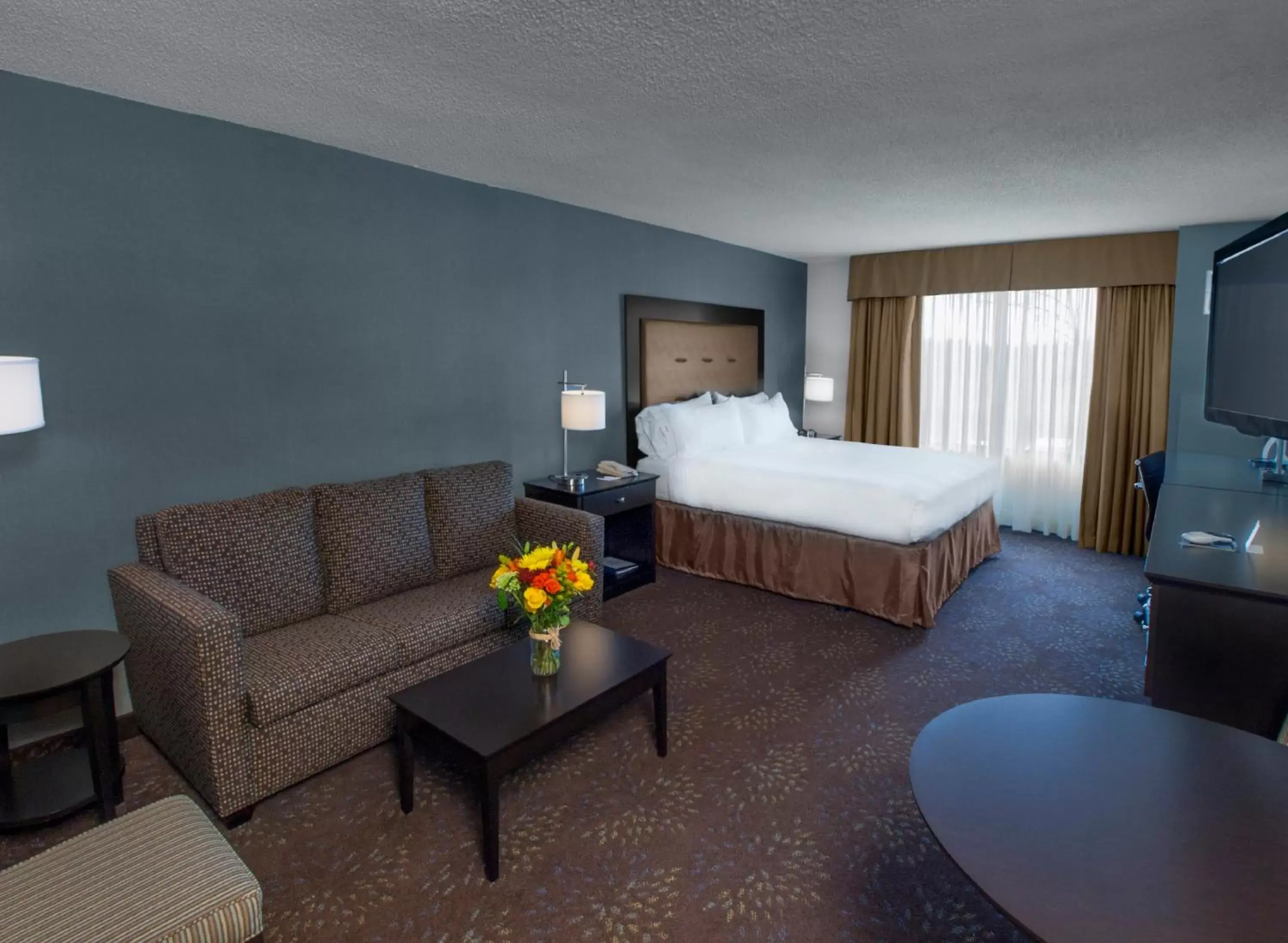 Photo of the whole room in Holiday Inn Express & Suites Buffalo Airport, an IHG Hotel