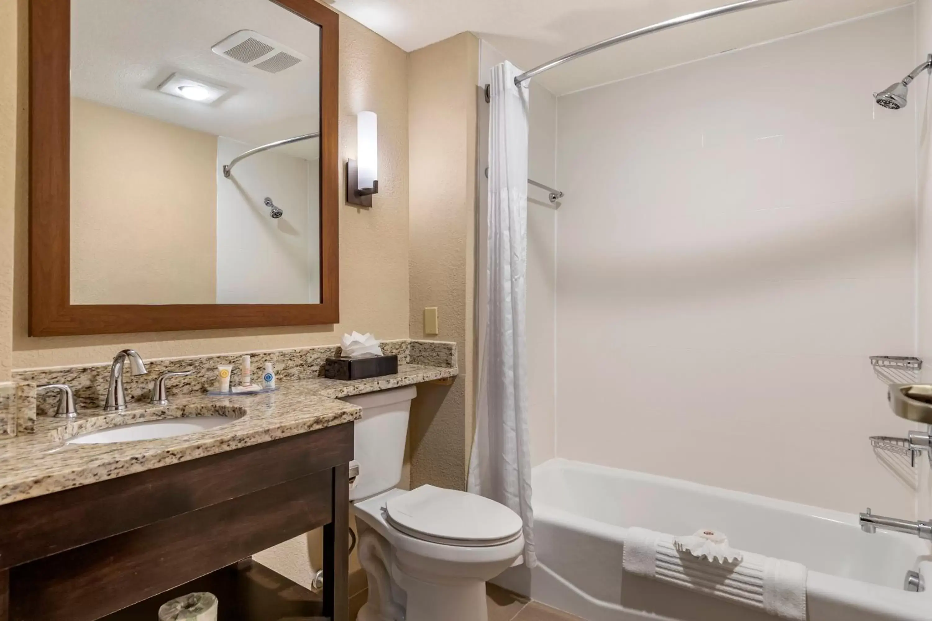 Bathroom in Comfort Inn & Suites Allen Park/Dearborn