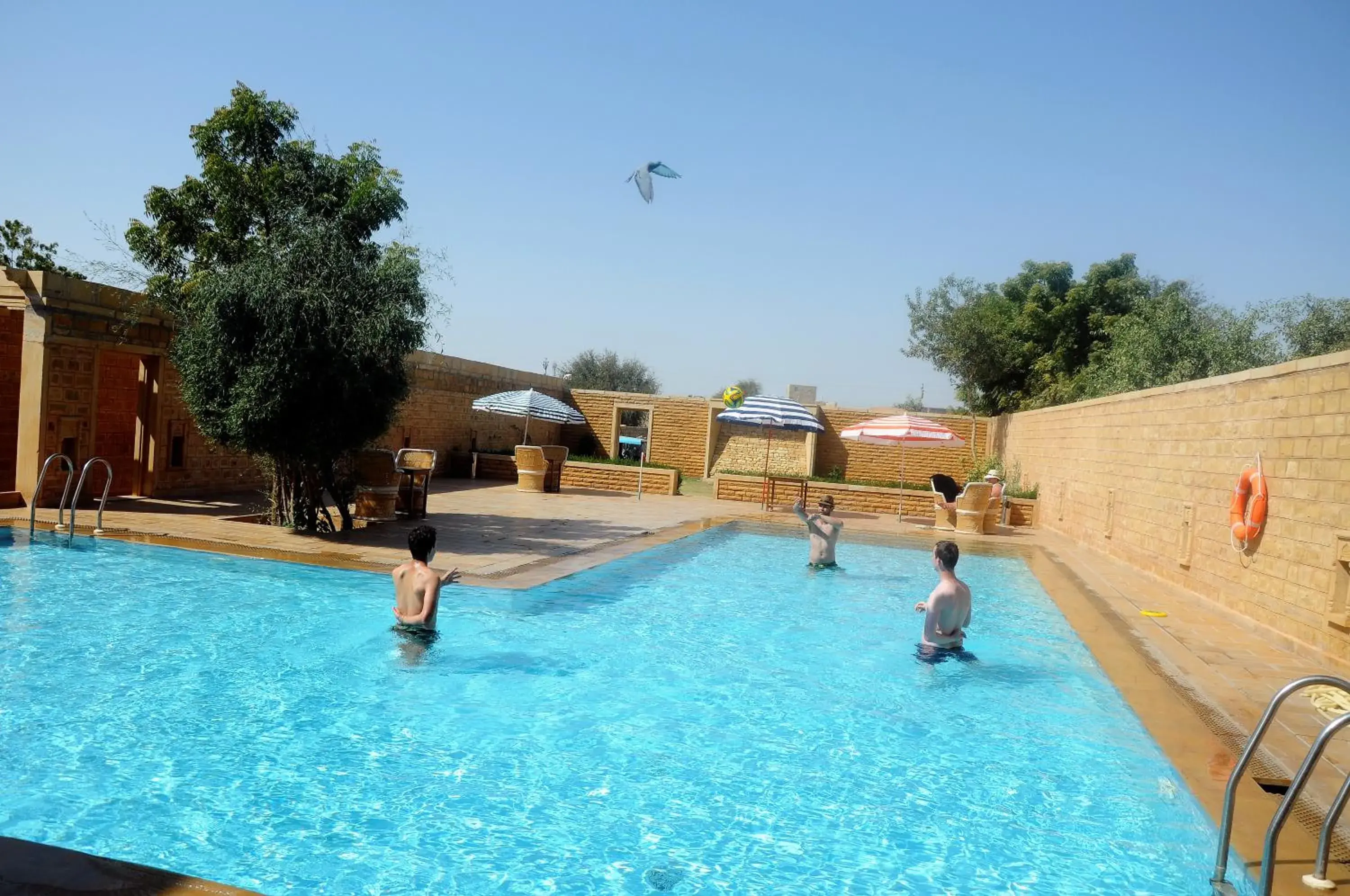 Swimming Pool in Golden Haveli