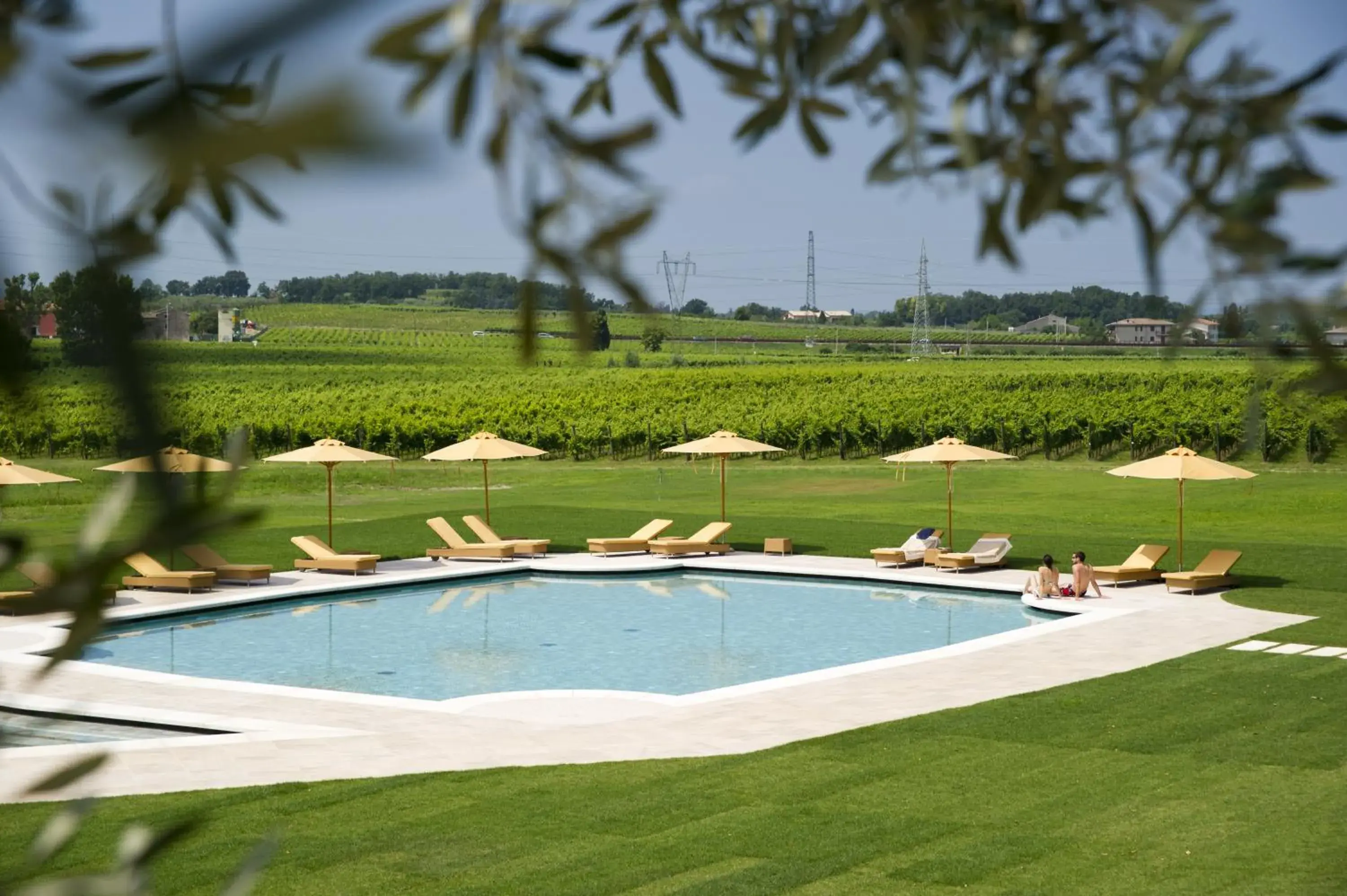 Pool view, Swimming Pool in Villa Cordevigo Wine Relais