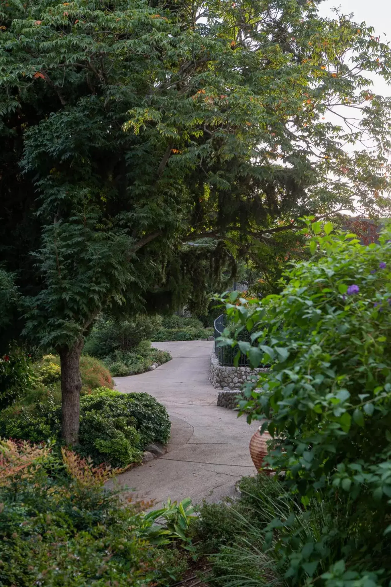 Garden in Giladi Hotel