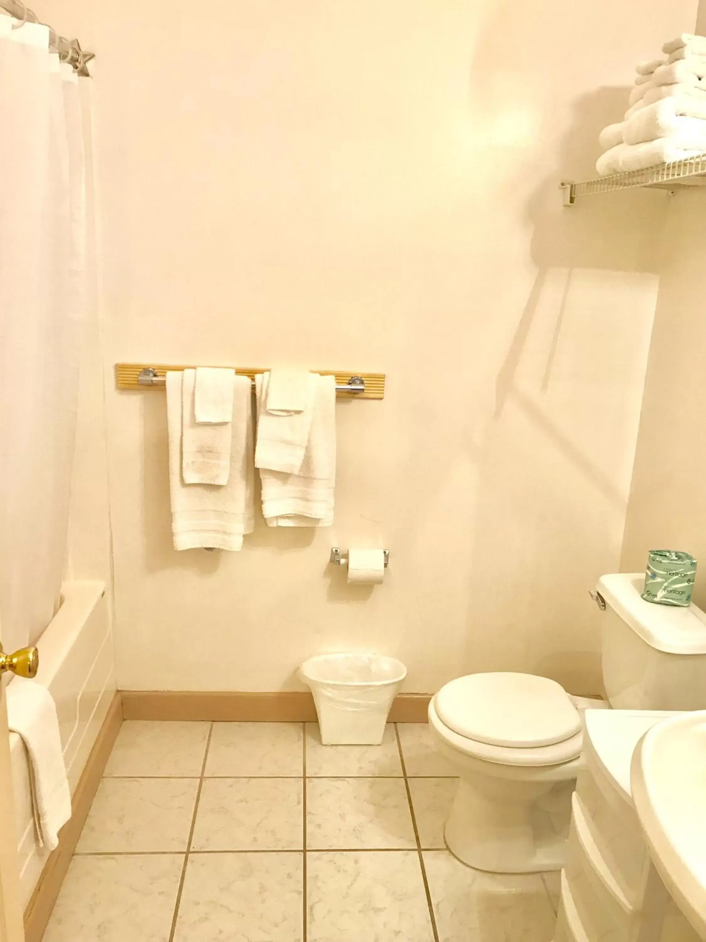 Bathroom in Saco River Motor Lodge & Suites