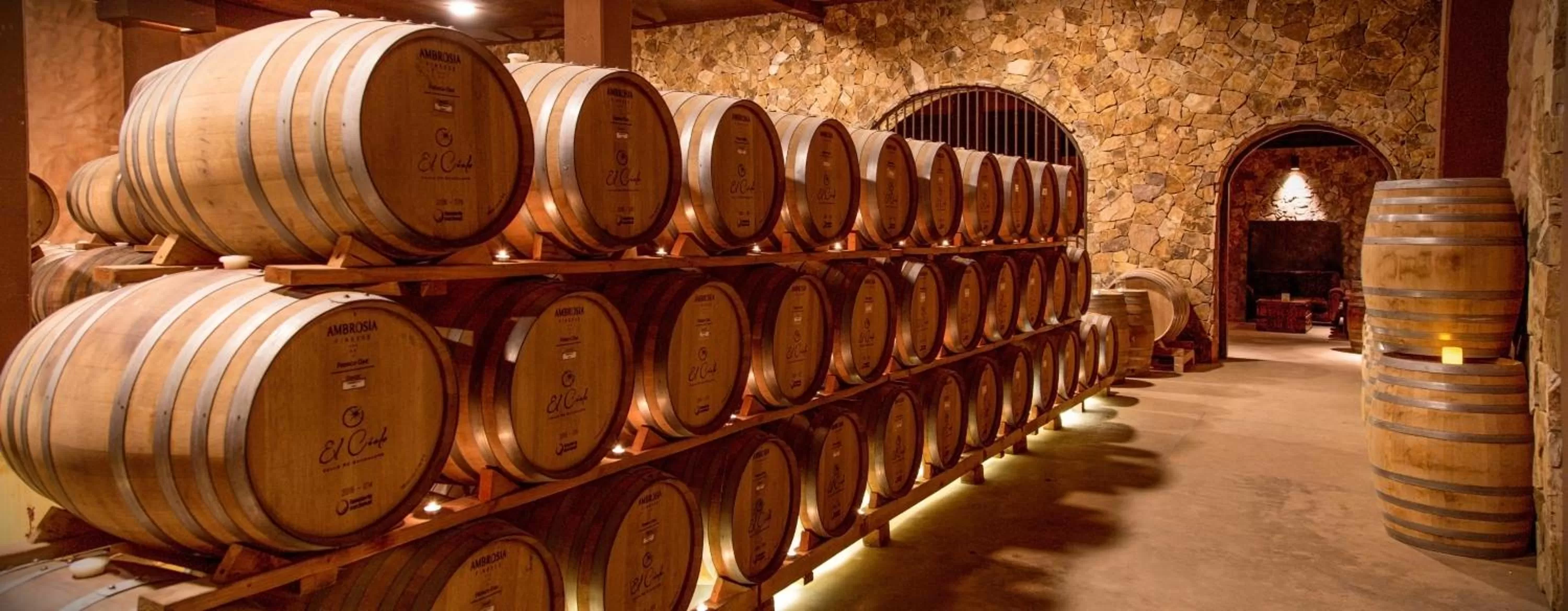 Drinks in El Cielo Resort