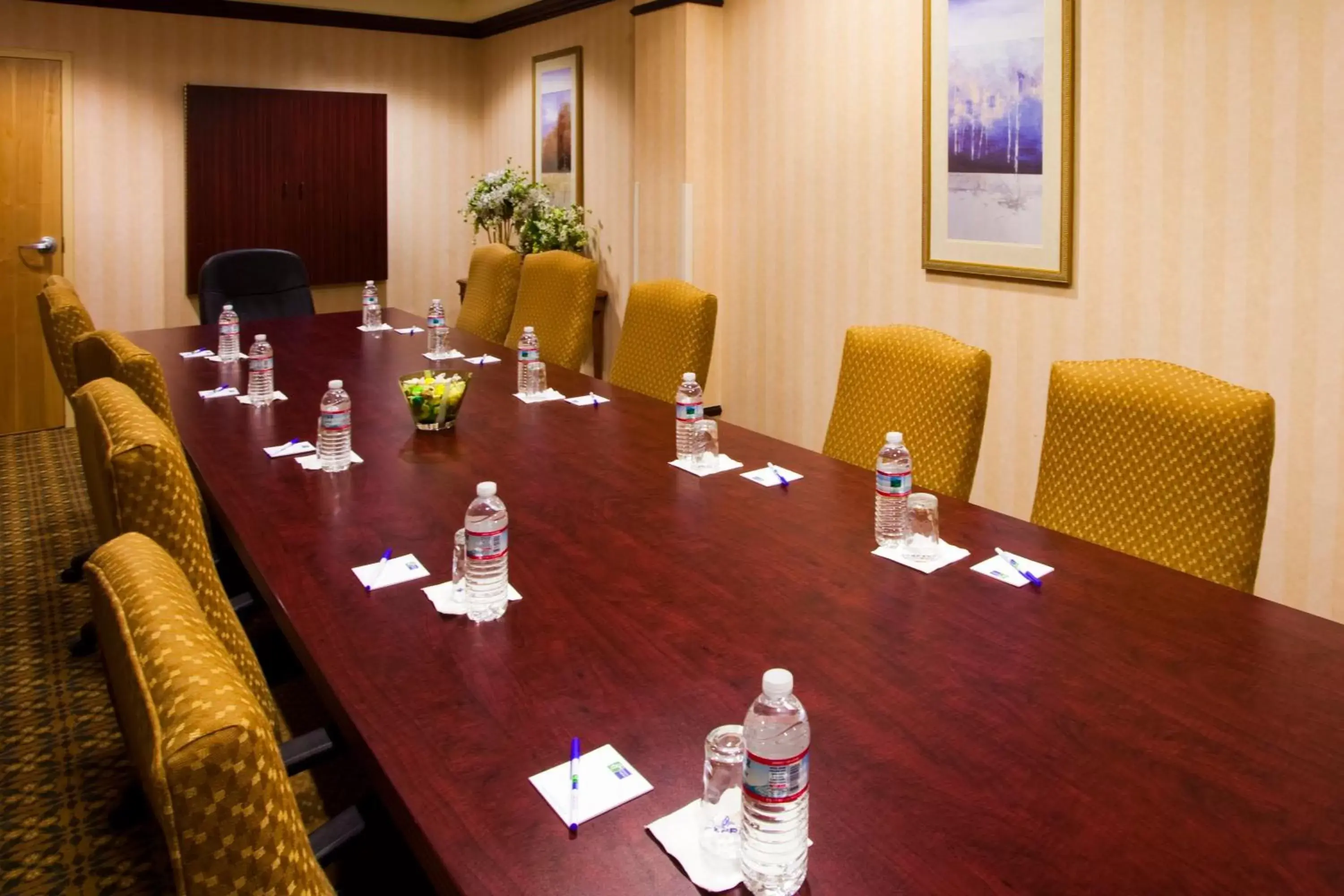 Meeting/conference room in Holiday Inn Express Syracuse Airport, an IHG Hotel