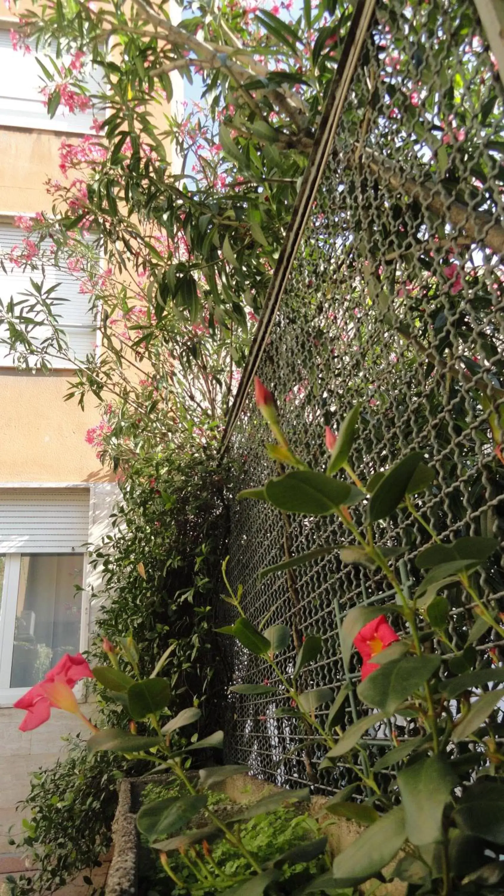 Inner courtyard view in Residence Giusti 6