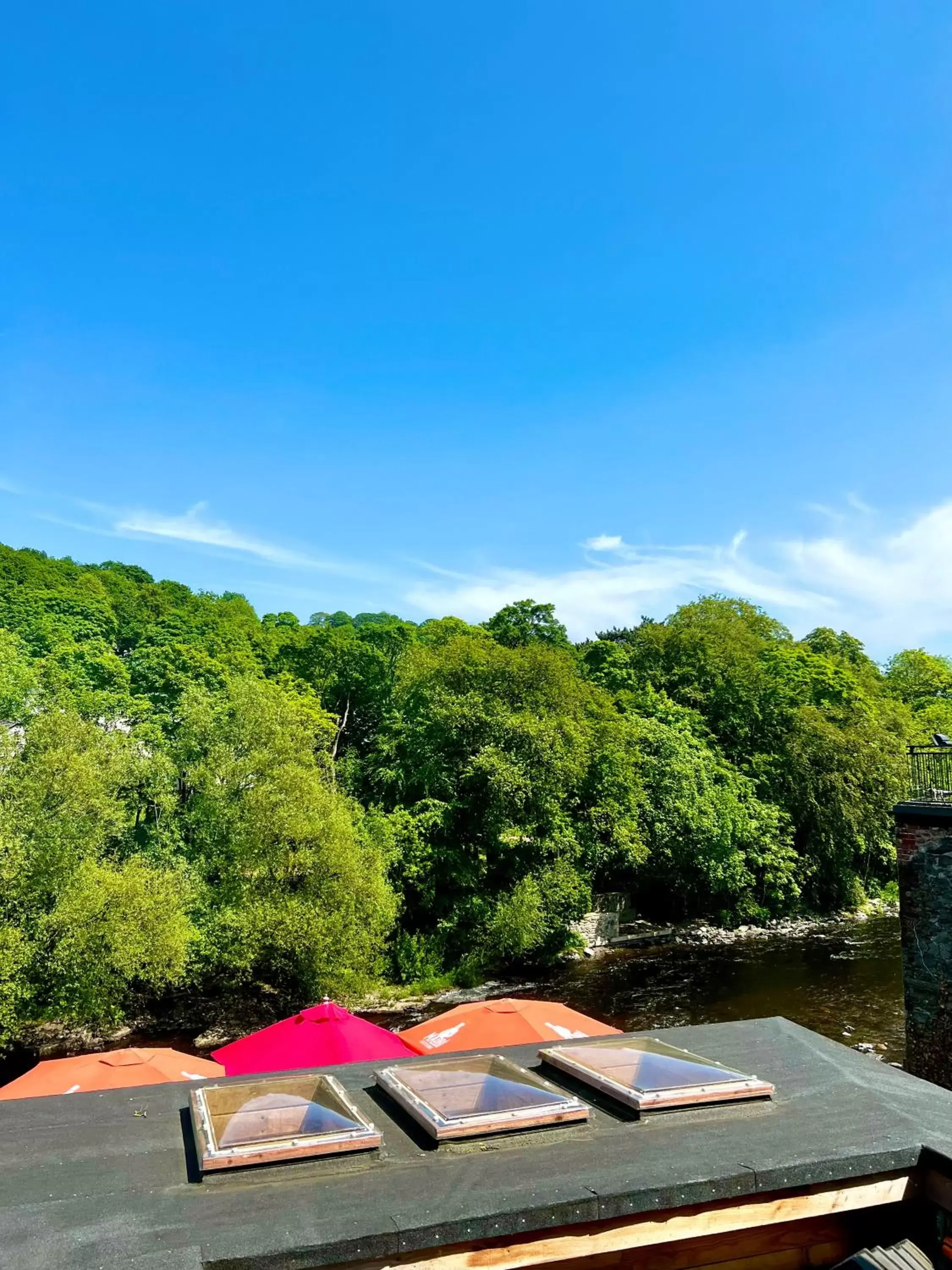 View (from property/room) in Riverbanc