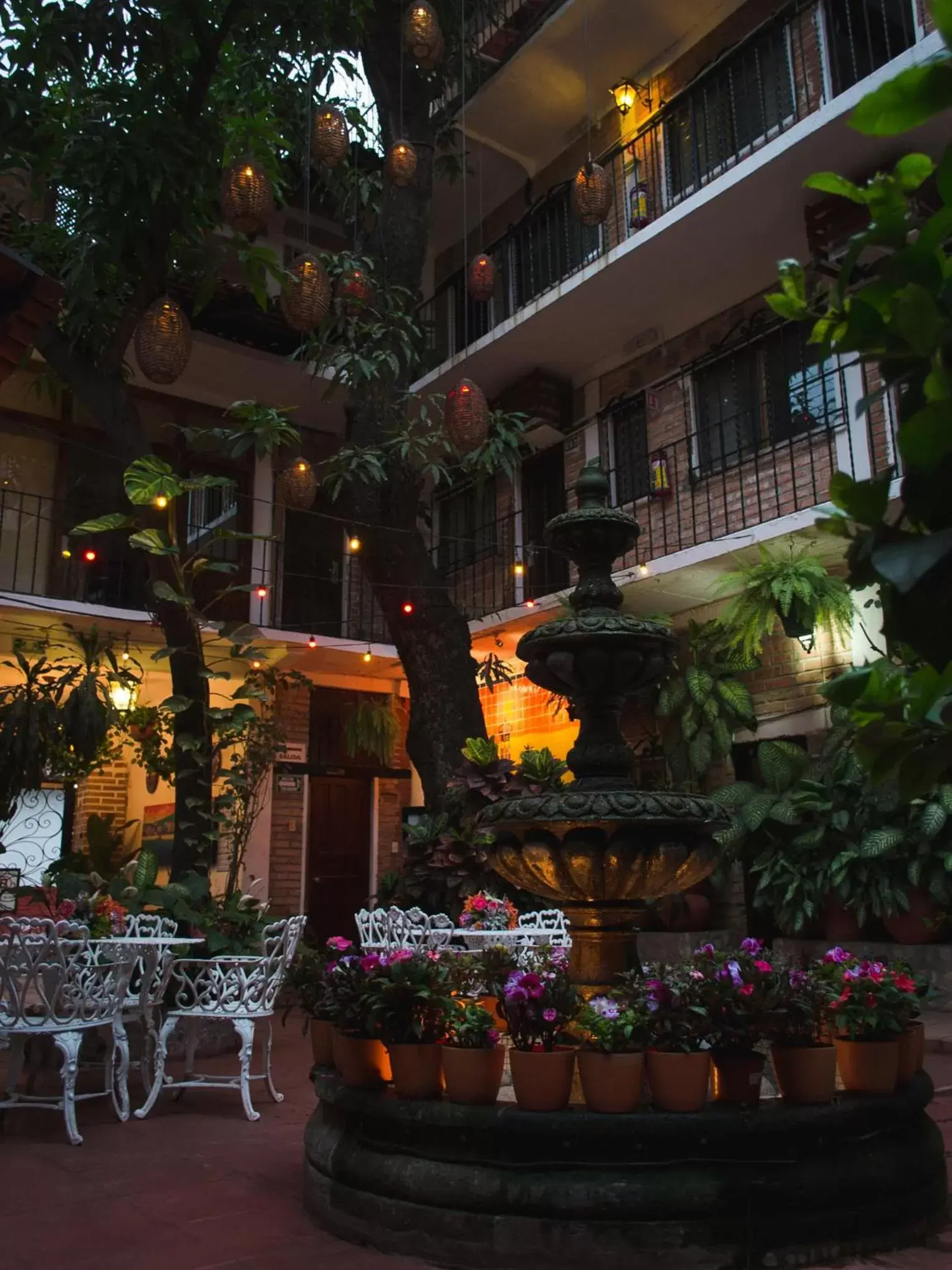 Patio in Hotel Posada De Roger