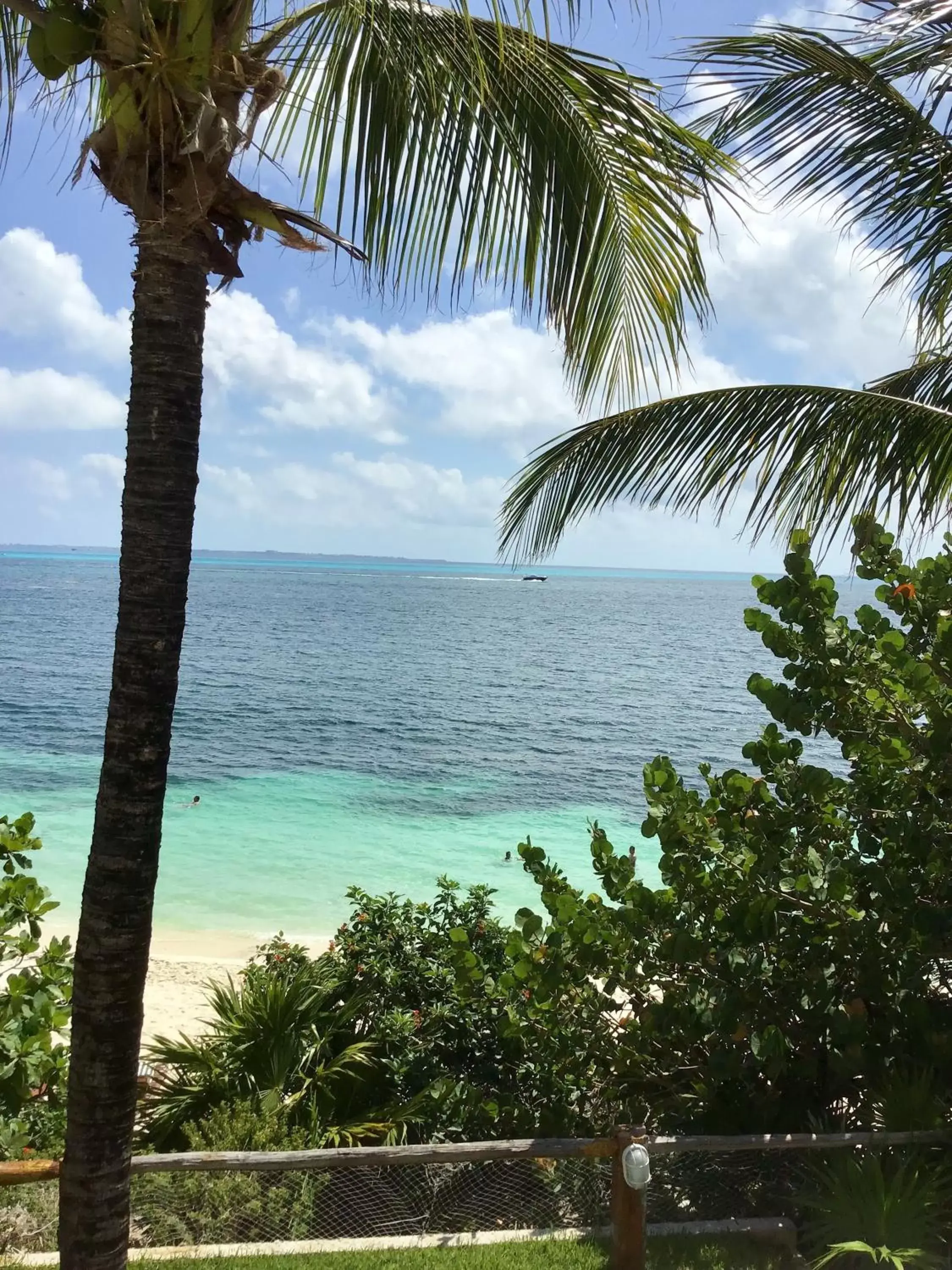 Natural landscape, Sea View in Hotel Maya Caribe Faranda Cancún