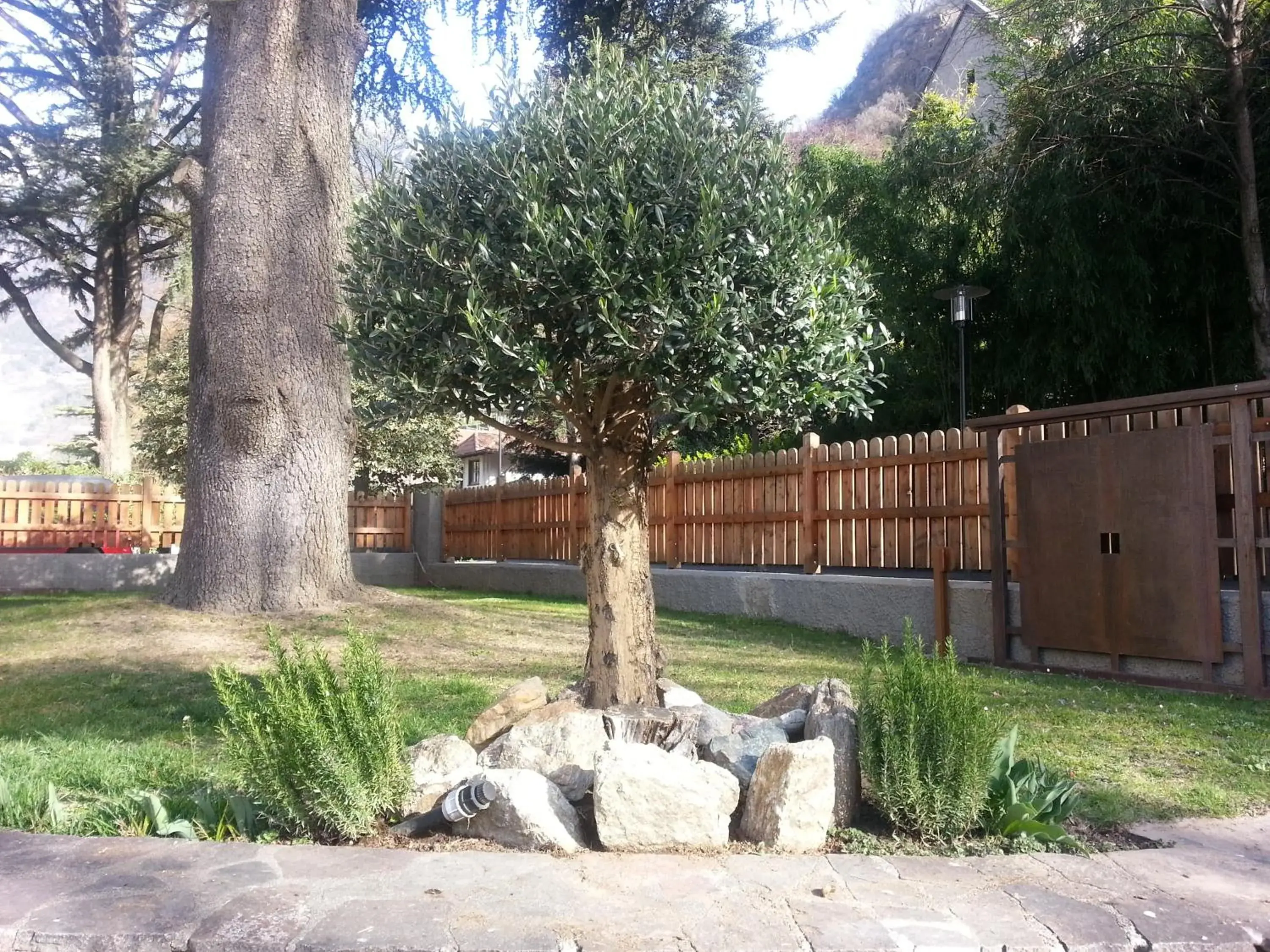 Natural landscape, Garden in Hotel Jasmin