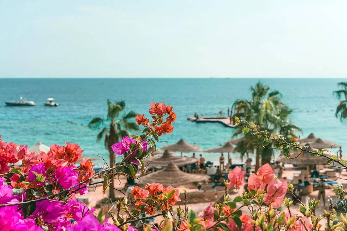 Beach, Sea View in Royal Savoy Sharm El Sheikh