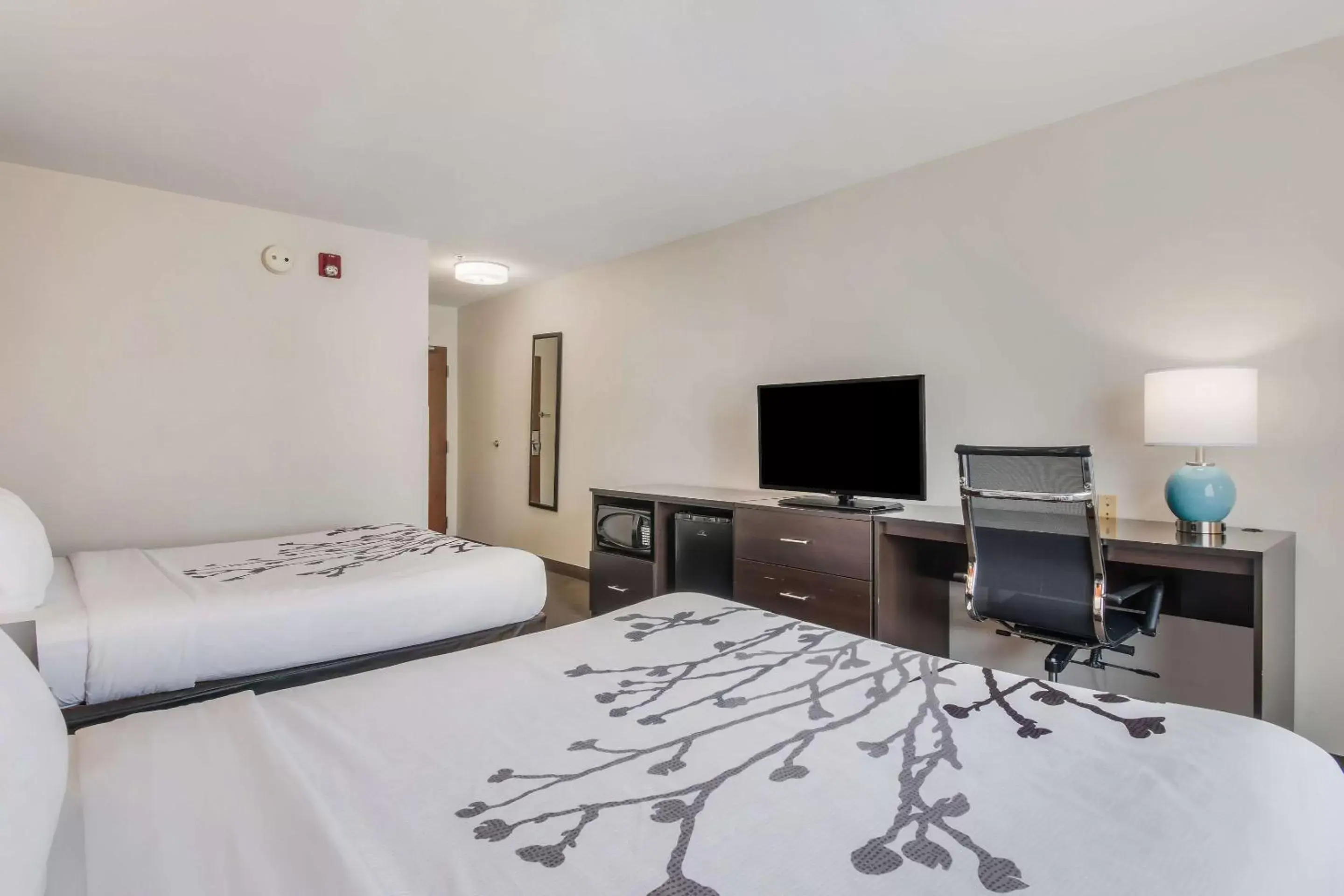 Bedroom, TV/Entertainment Center in Sleep Inn & Suites Ronks