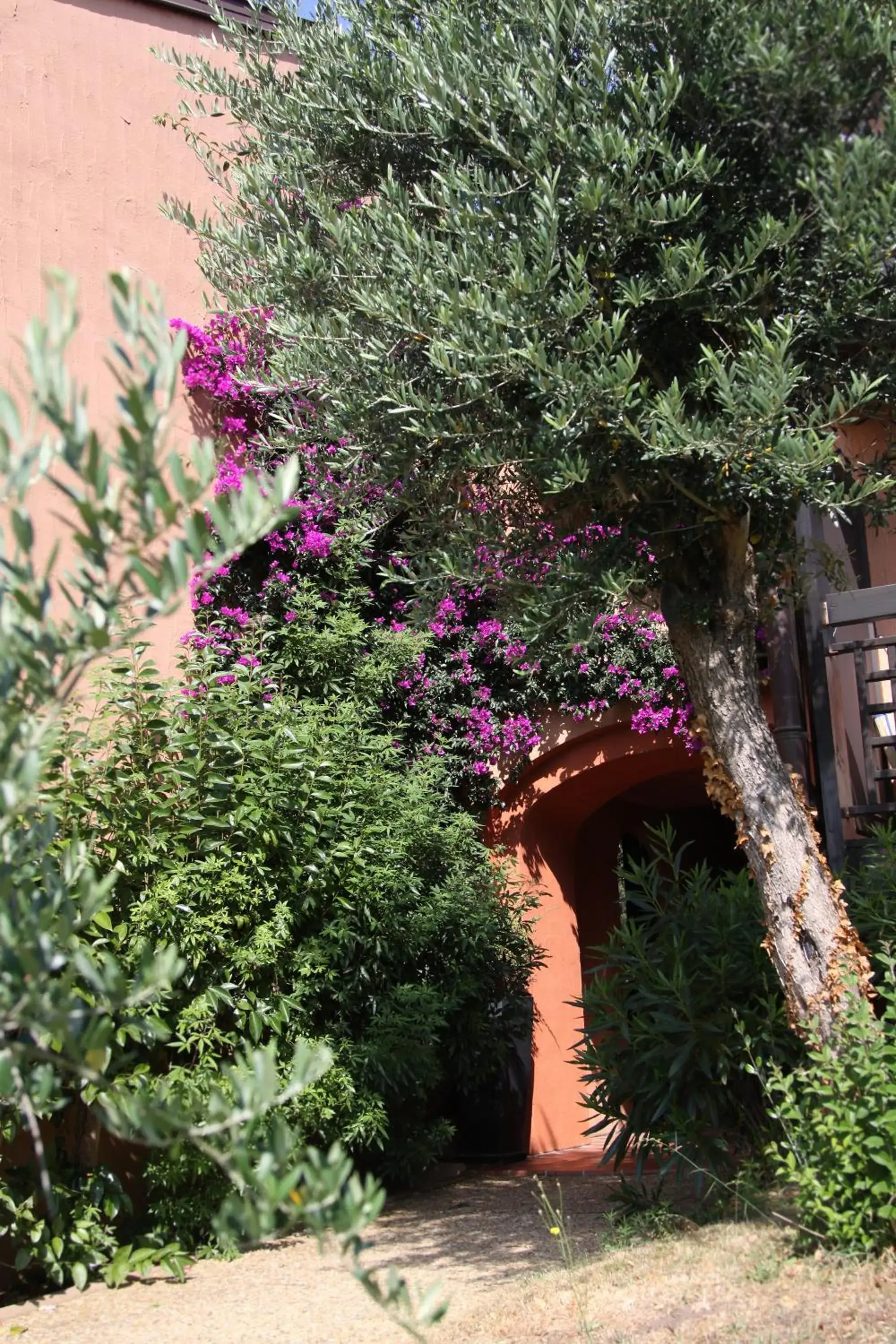 Facade/entrance in Hôtel Castell'Verde