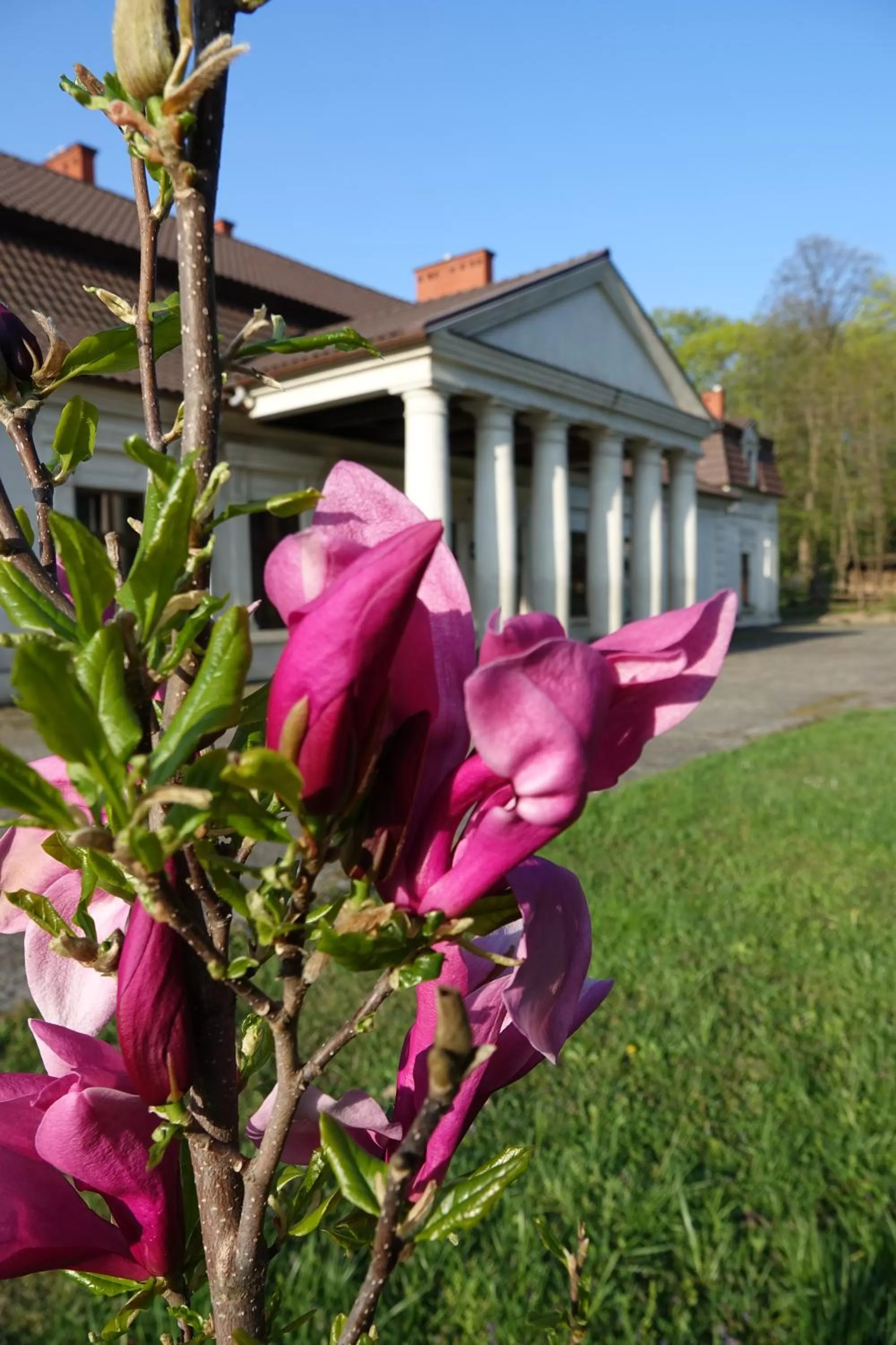Property building in Gościniec Dworski w Ropie - Pokoje gościnne