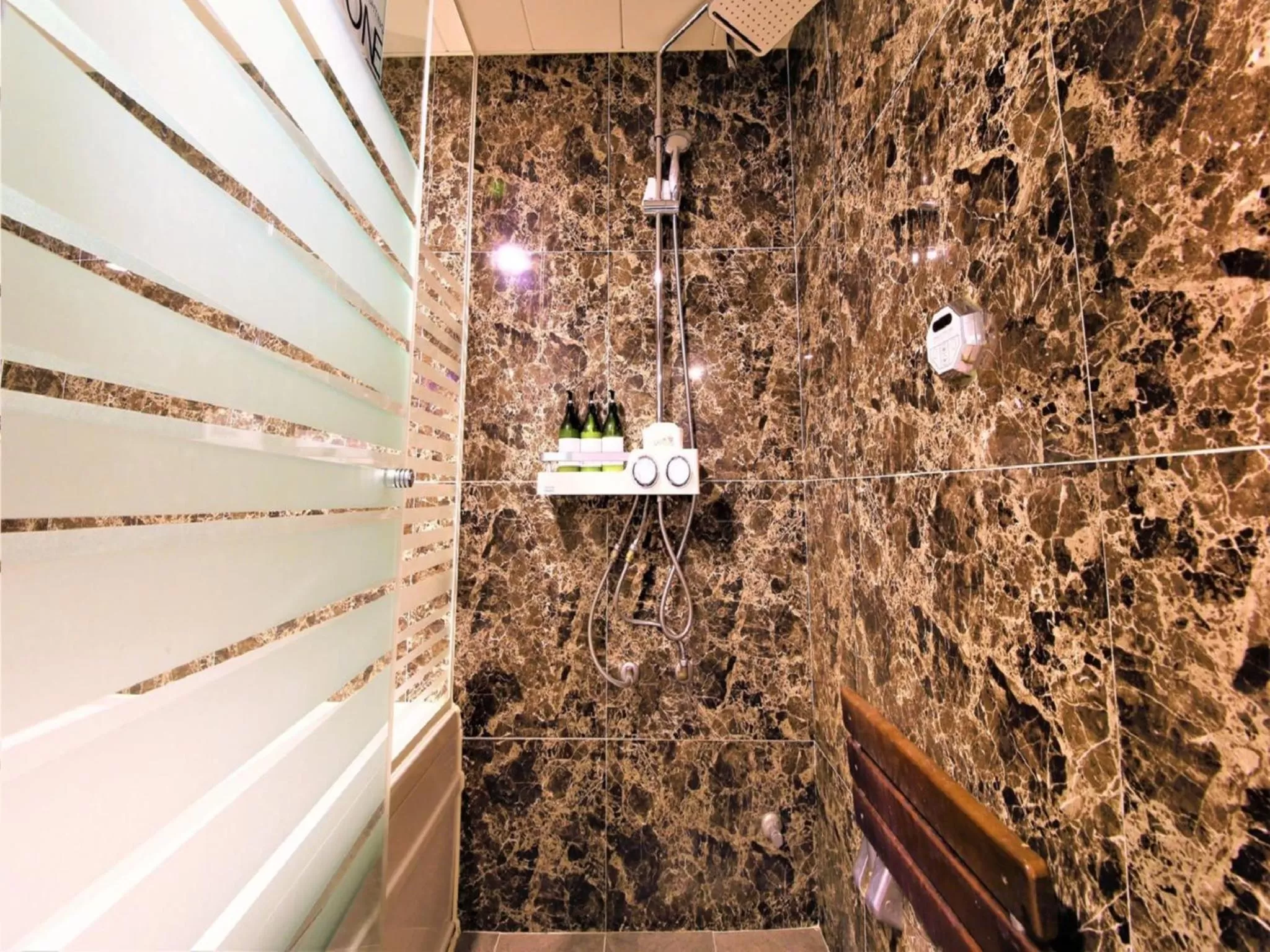 Shower in Elysee Hotel