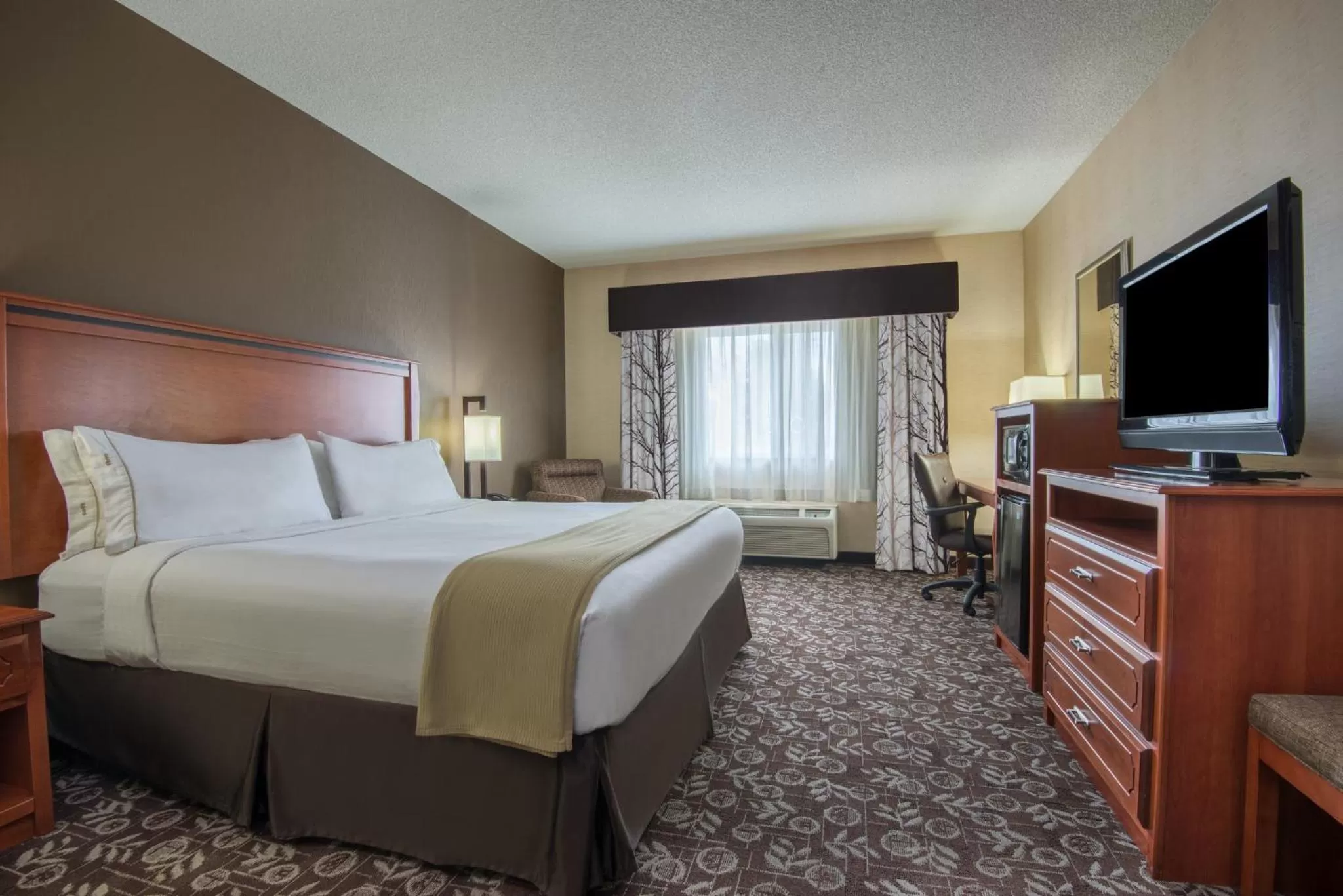 Photo of the whole room, Bed in Holiday Inn Express Casper I-25 by IHG
