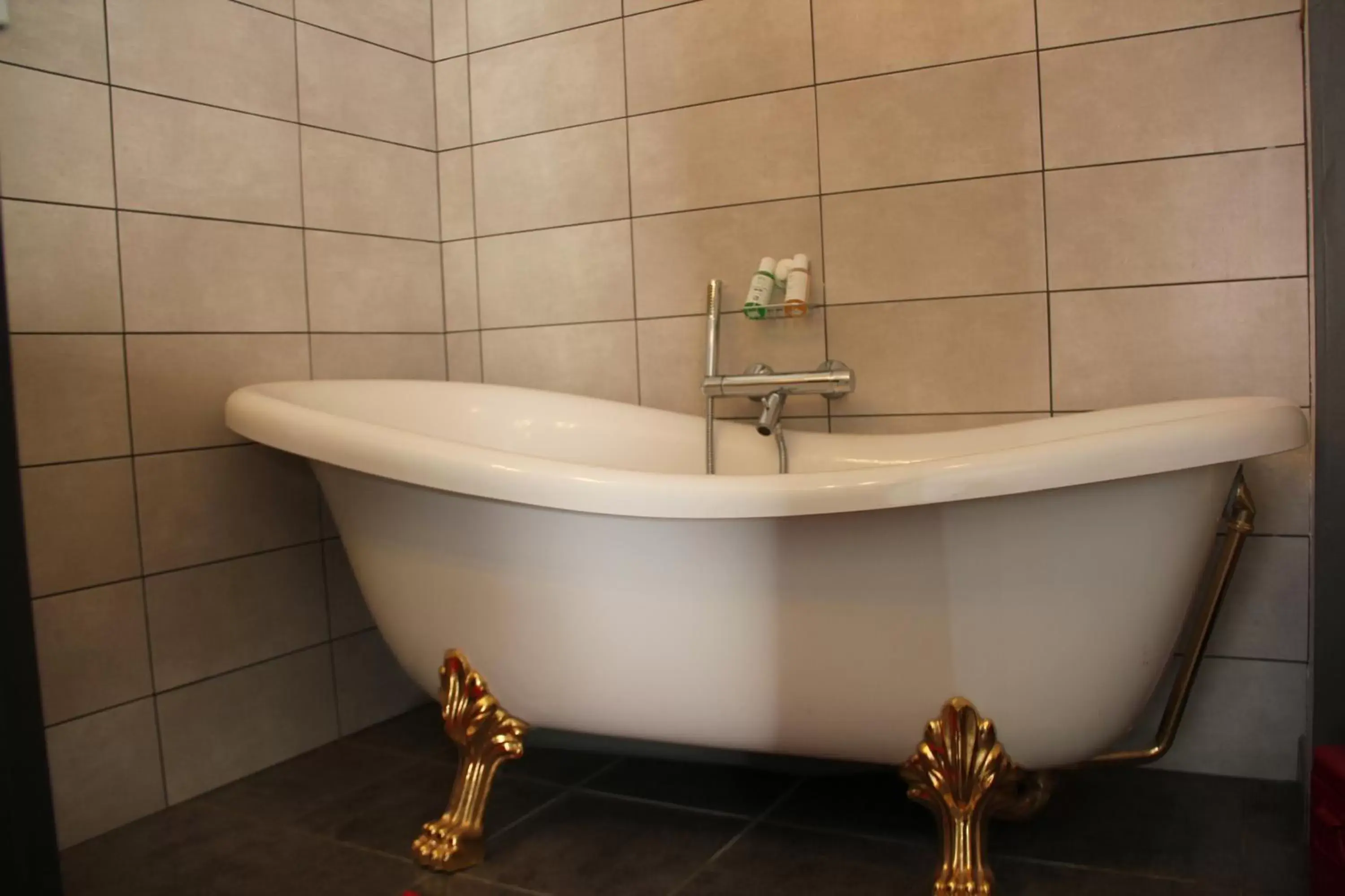 Bathroom in Château Besson