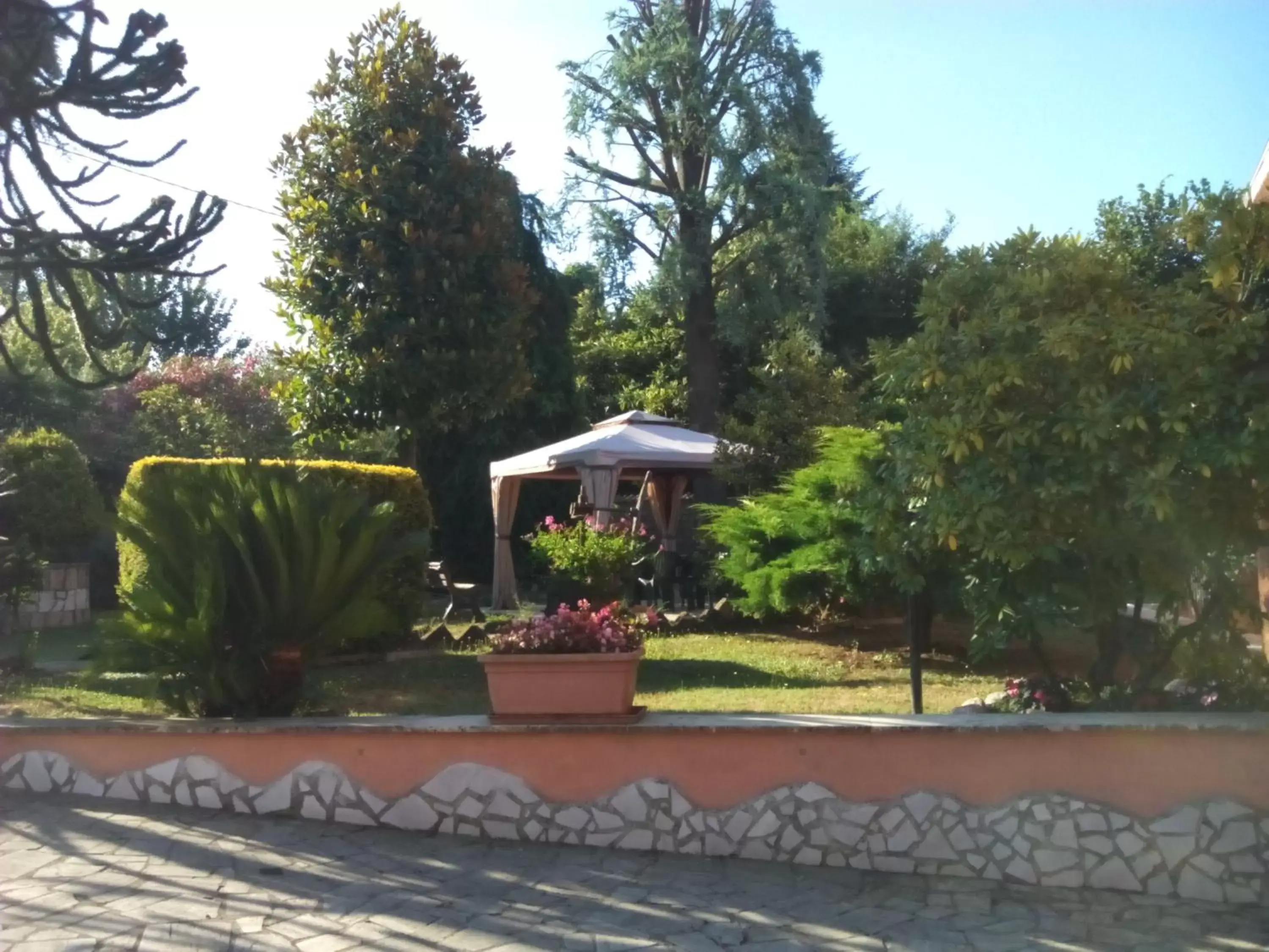 Garden, Patio/Outdoor Area in Il sottosopra