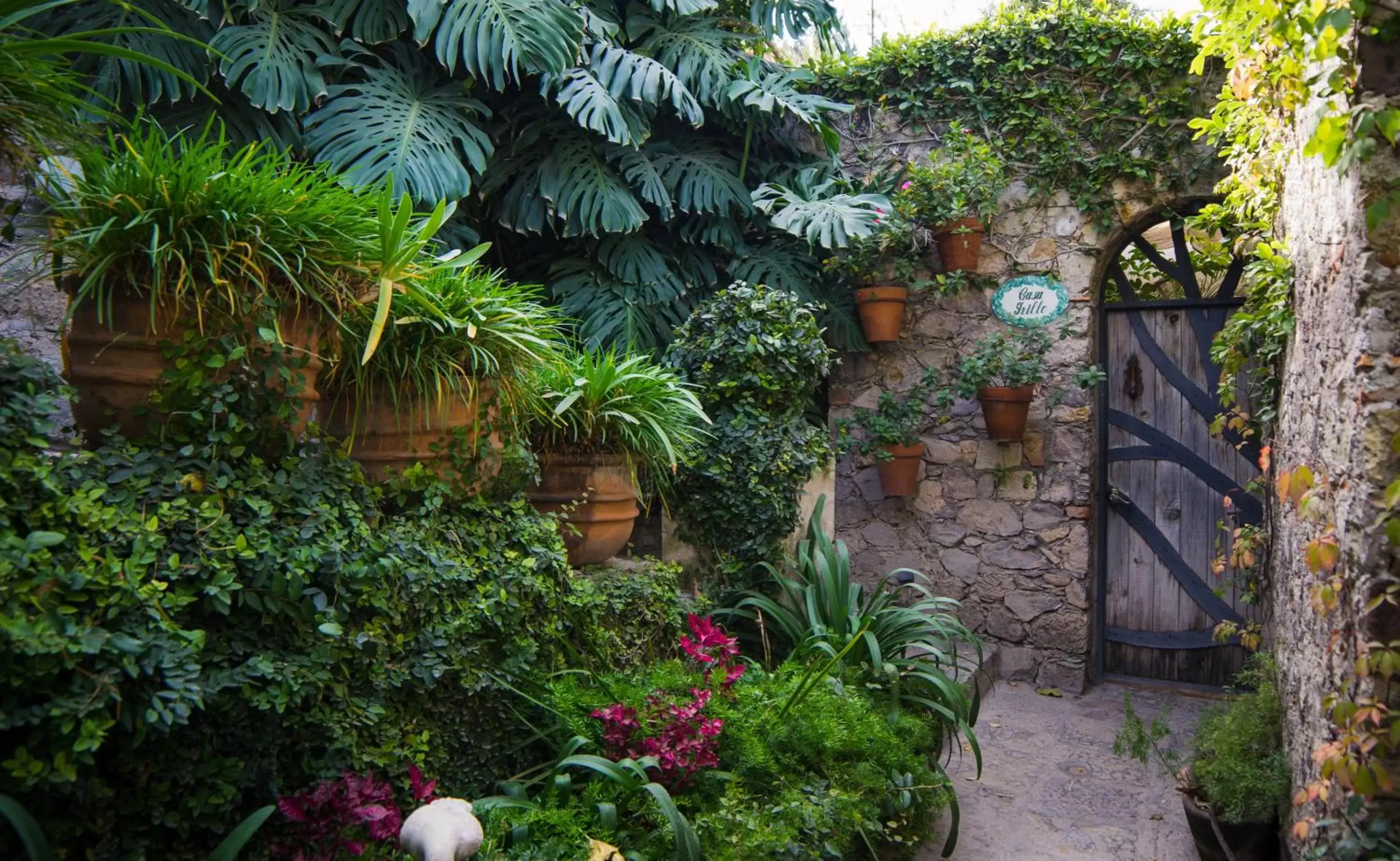 Garden in Las Terrazas