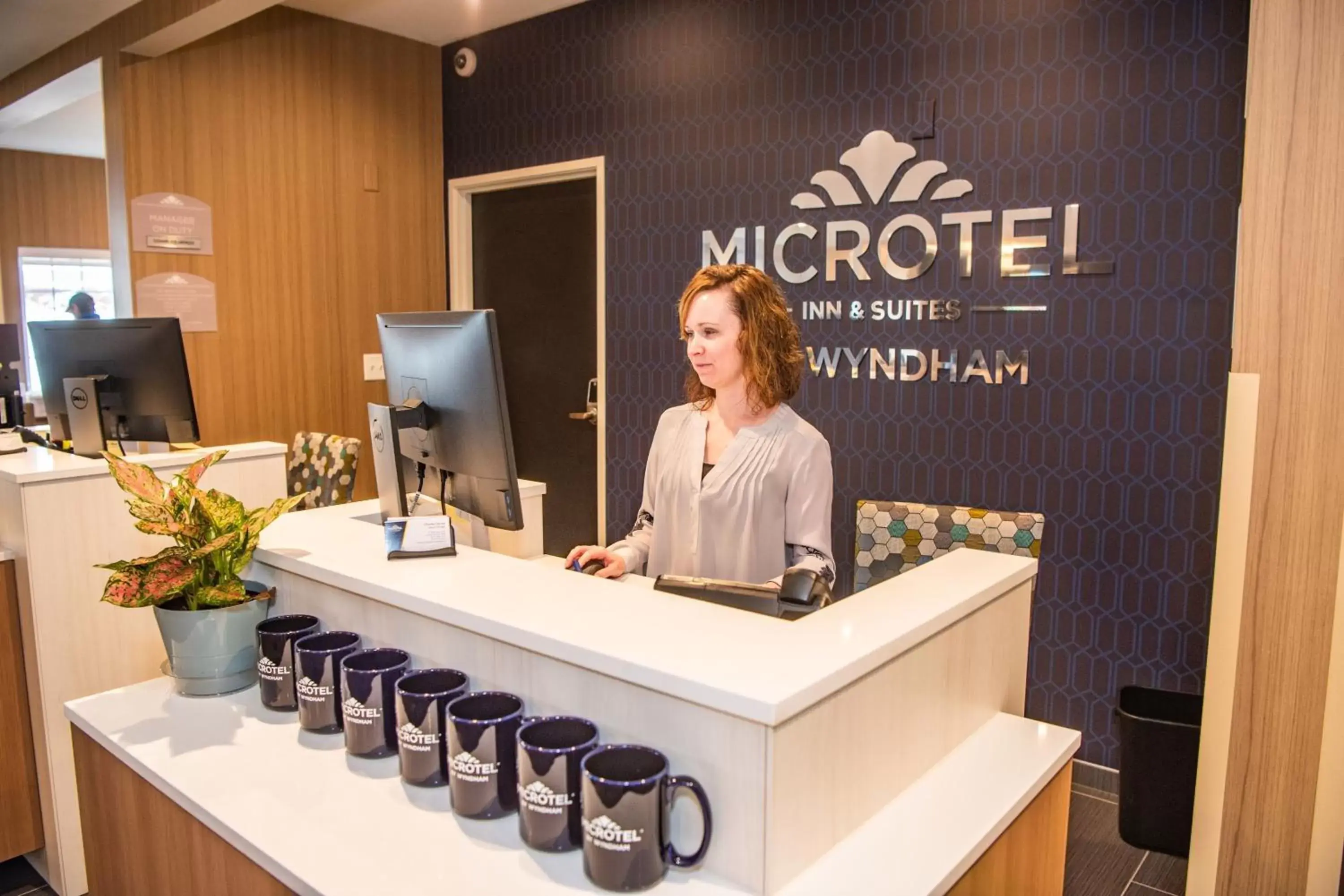 Staff in Microtel Inn & Suites by Wyndham Carlisle