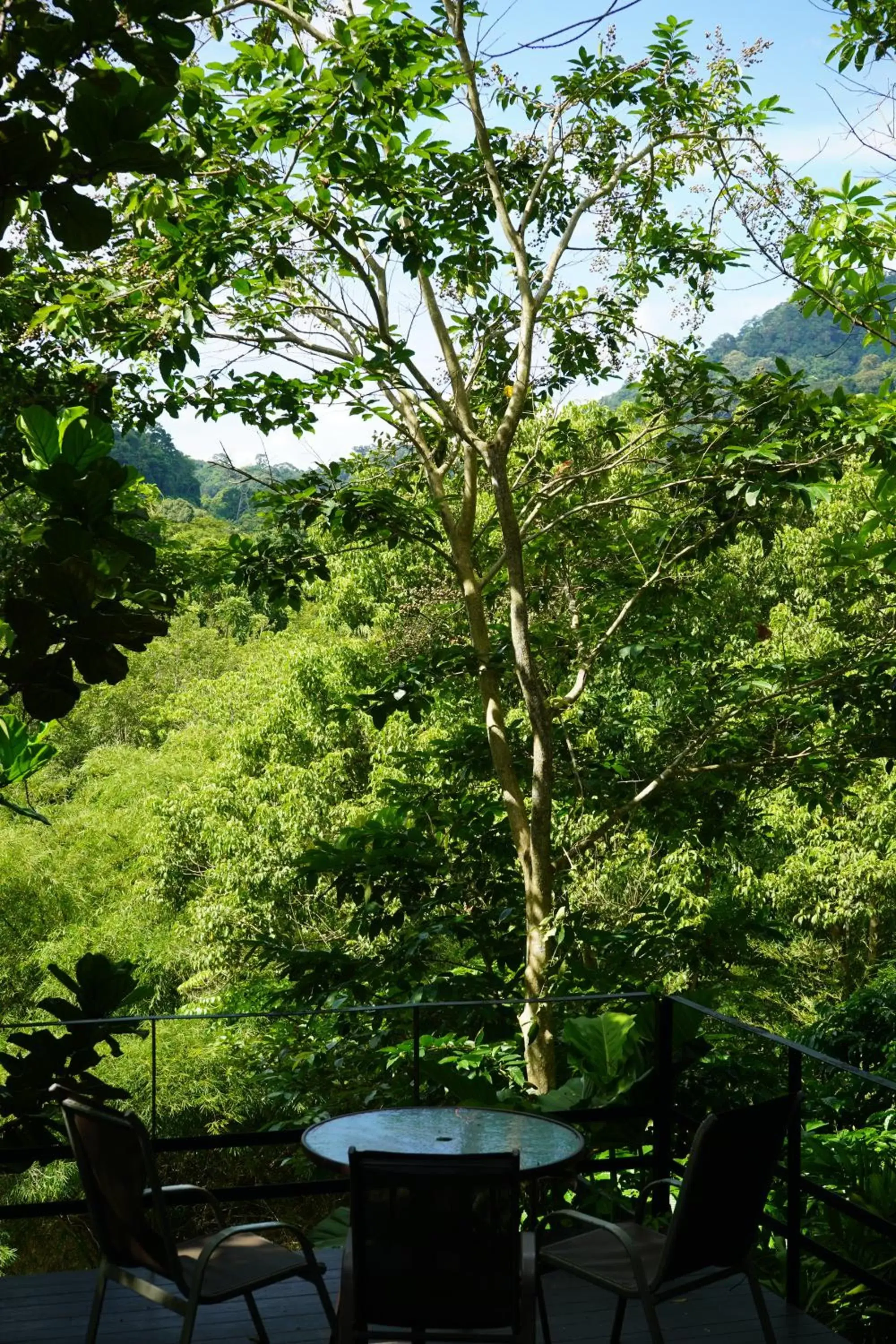 View (from property/room) in Kachonghills Tented Resort Trang