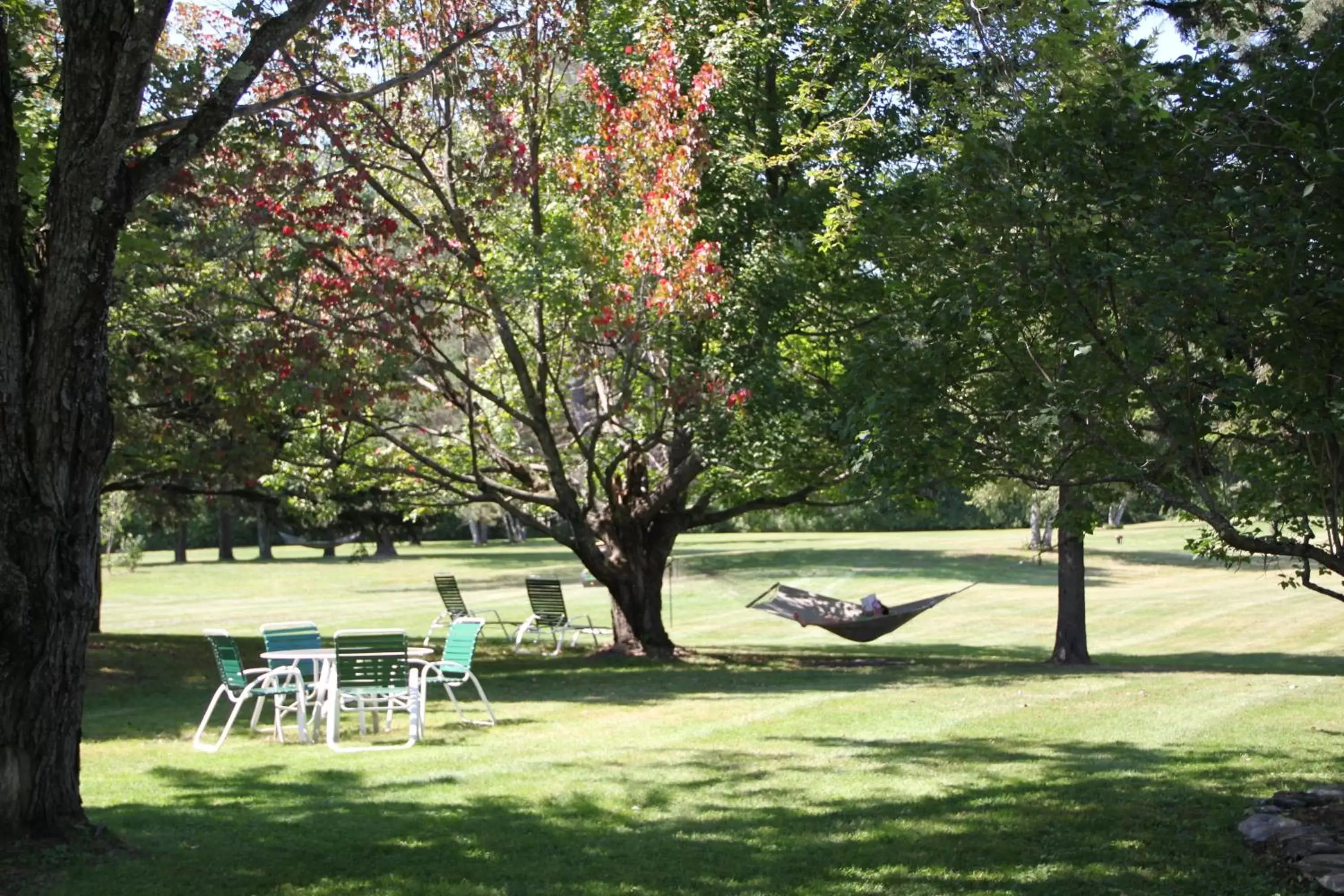 Garden in Stowe Motel & Snowdrift