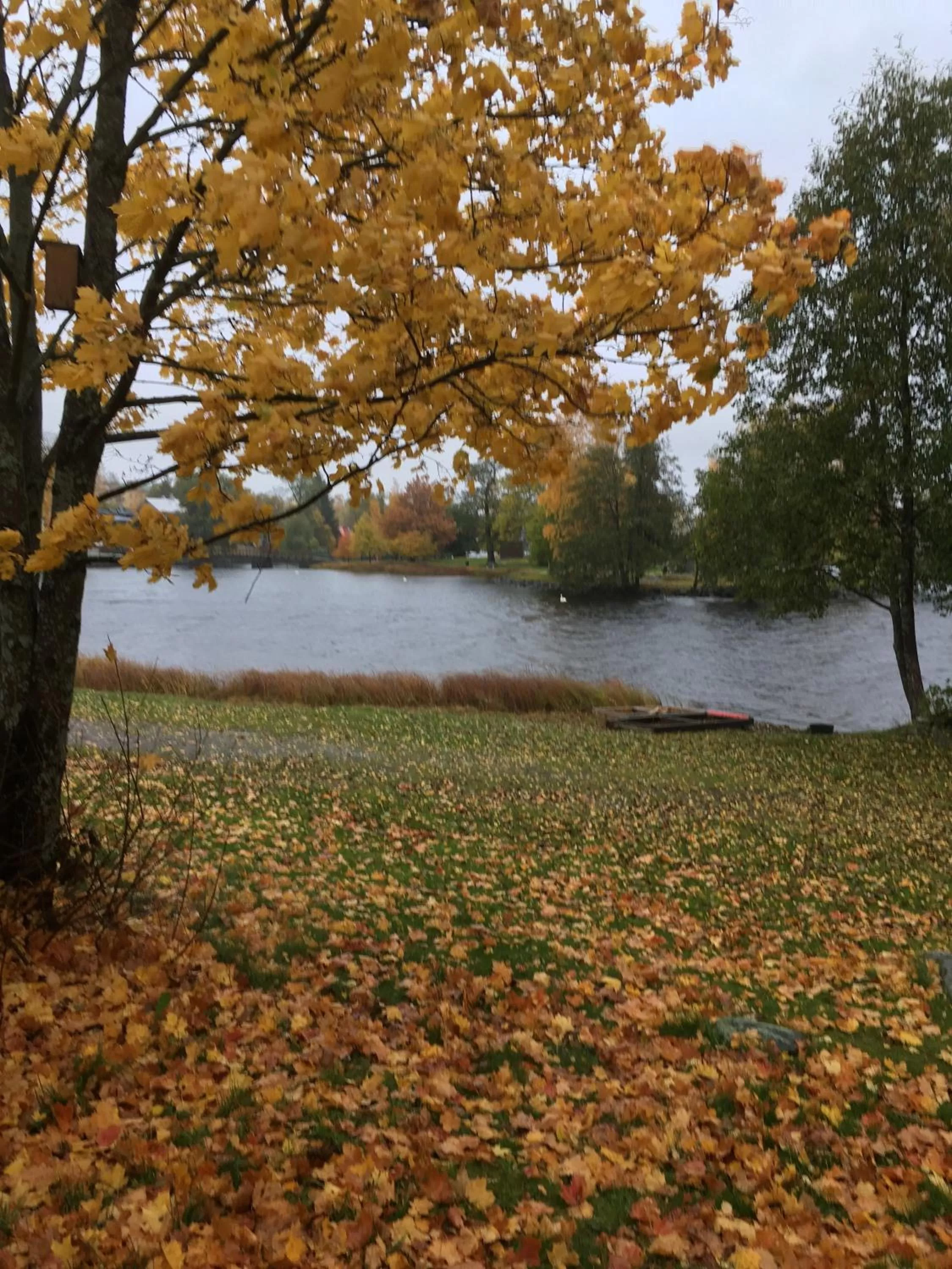 Autumn in Cafe-Restaurant & Hotel Saima