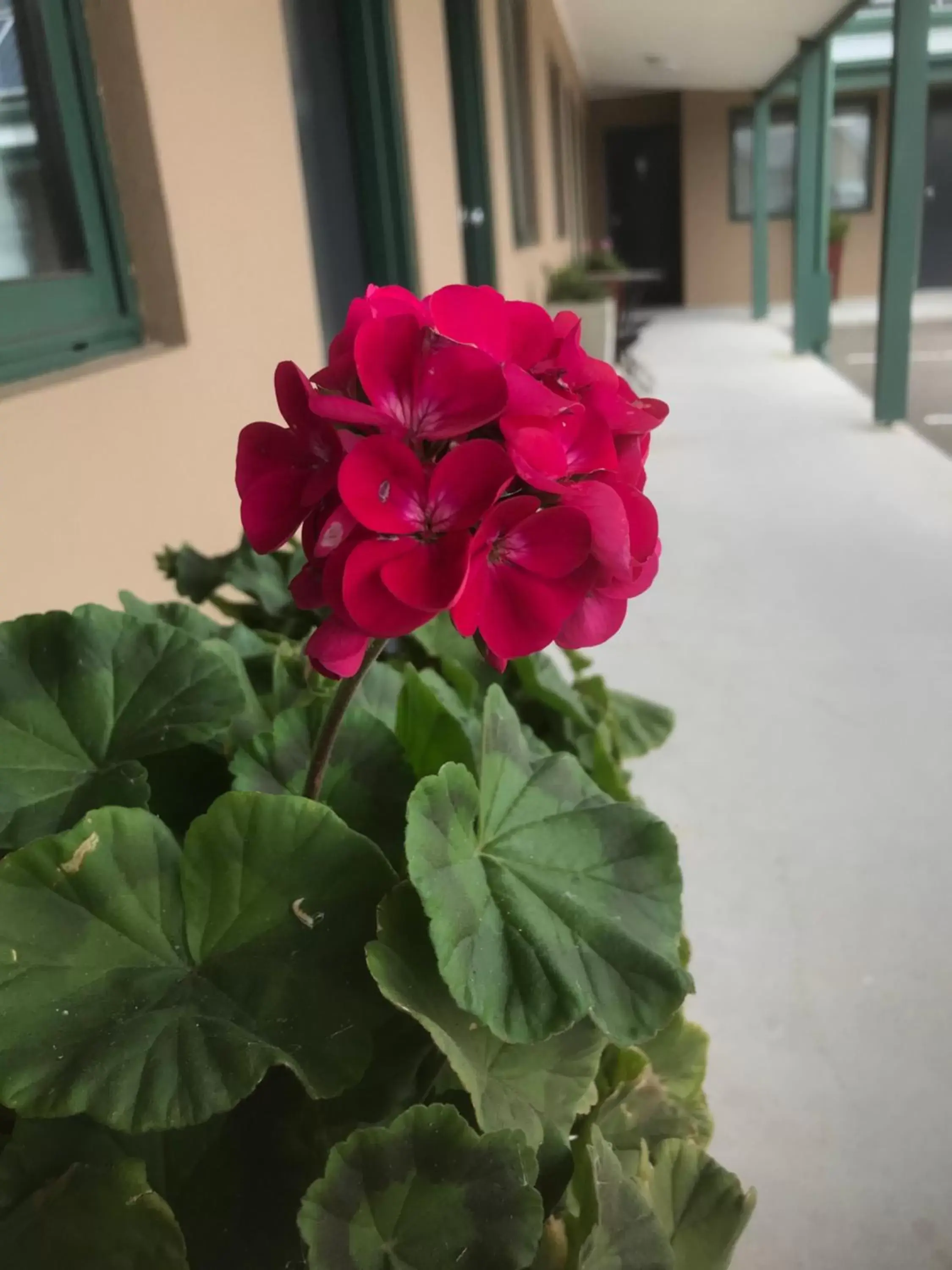 Patio in The Bakehouse Motel