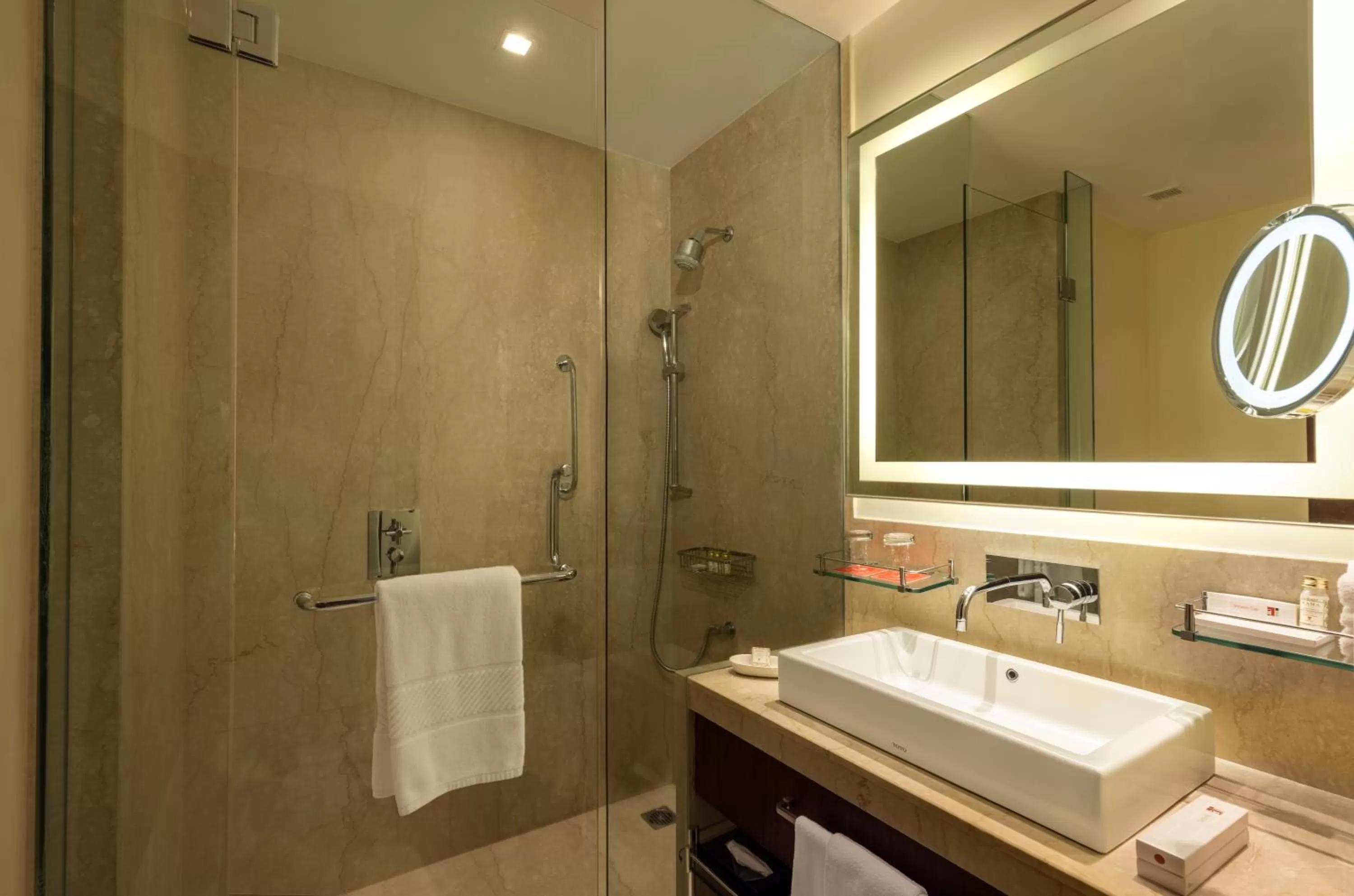 Shower in Trident Agra