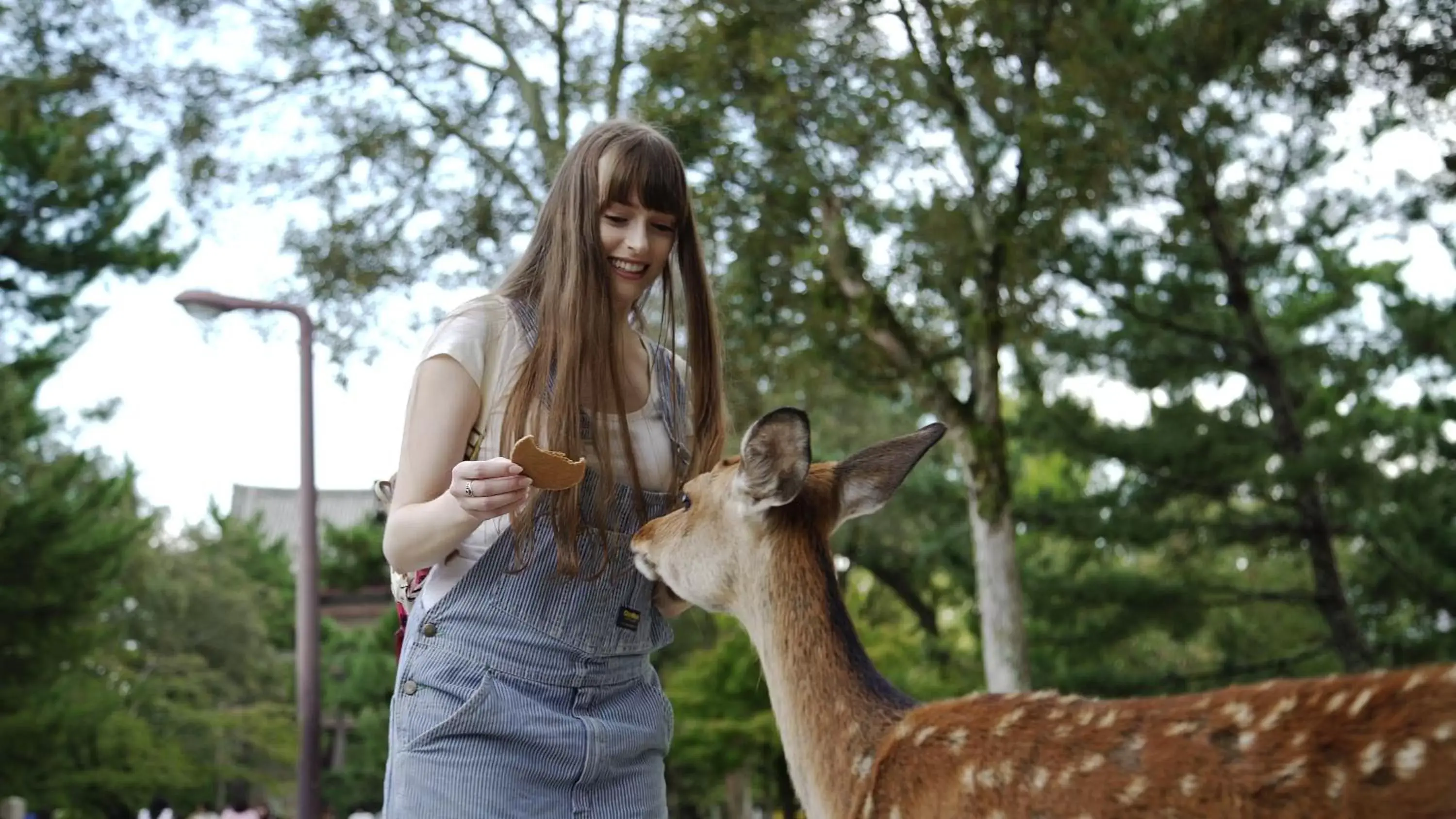 Pets, Other Animals in Centurion Hotel Classic Nara Station