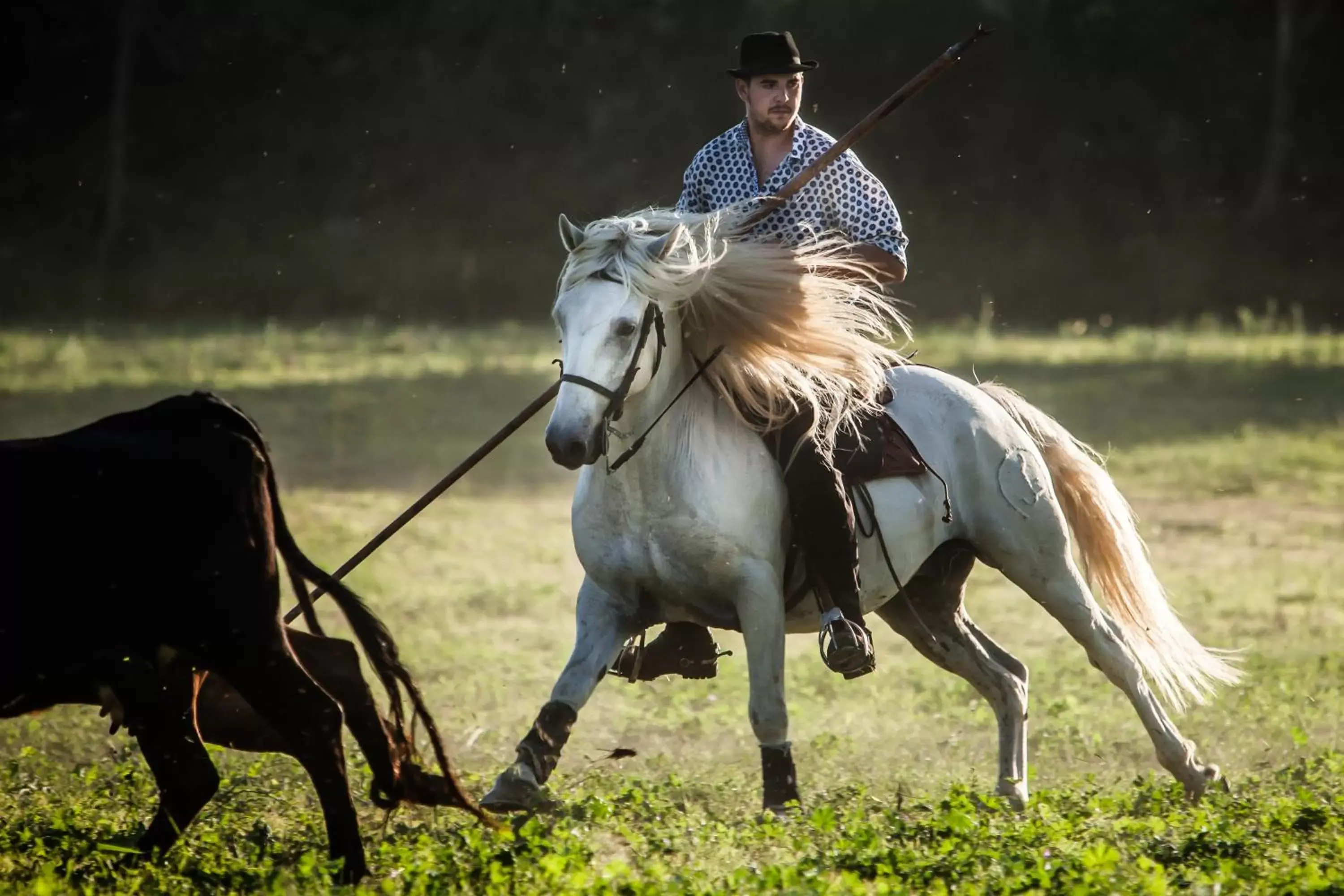 Entertainment, Horseback Riding in Domaine de Biar