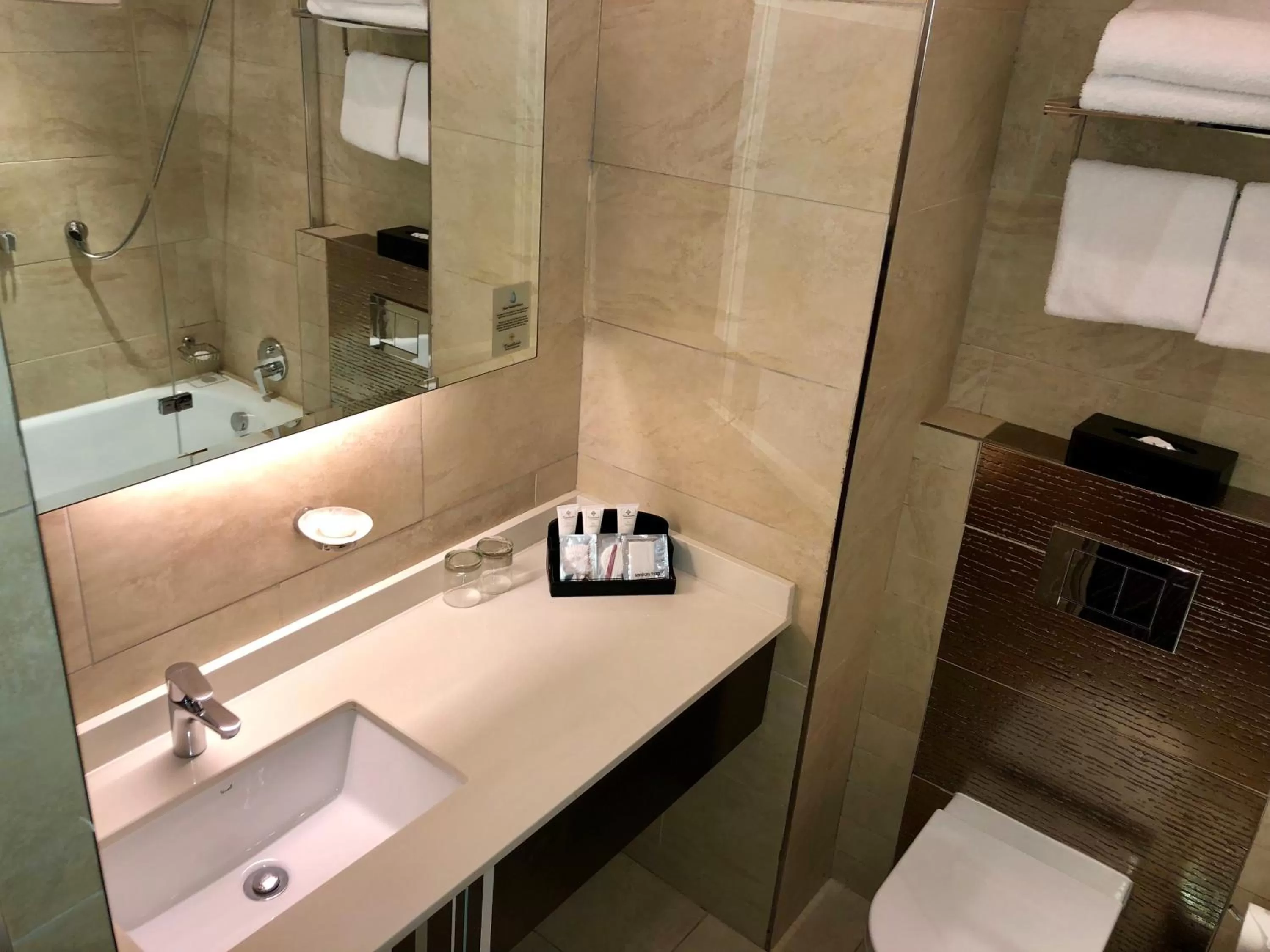 Toilet in Coastlands Musgrave Hotel