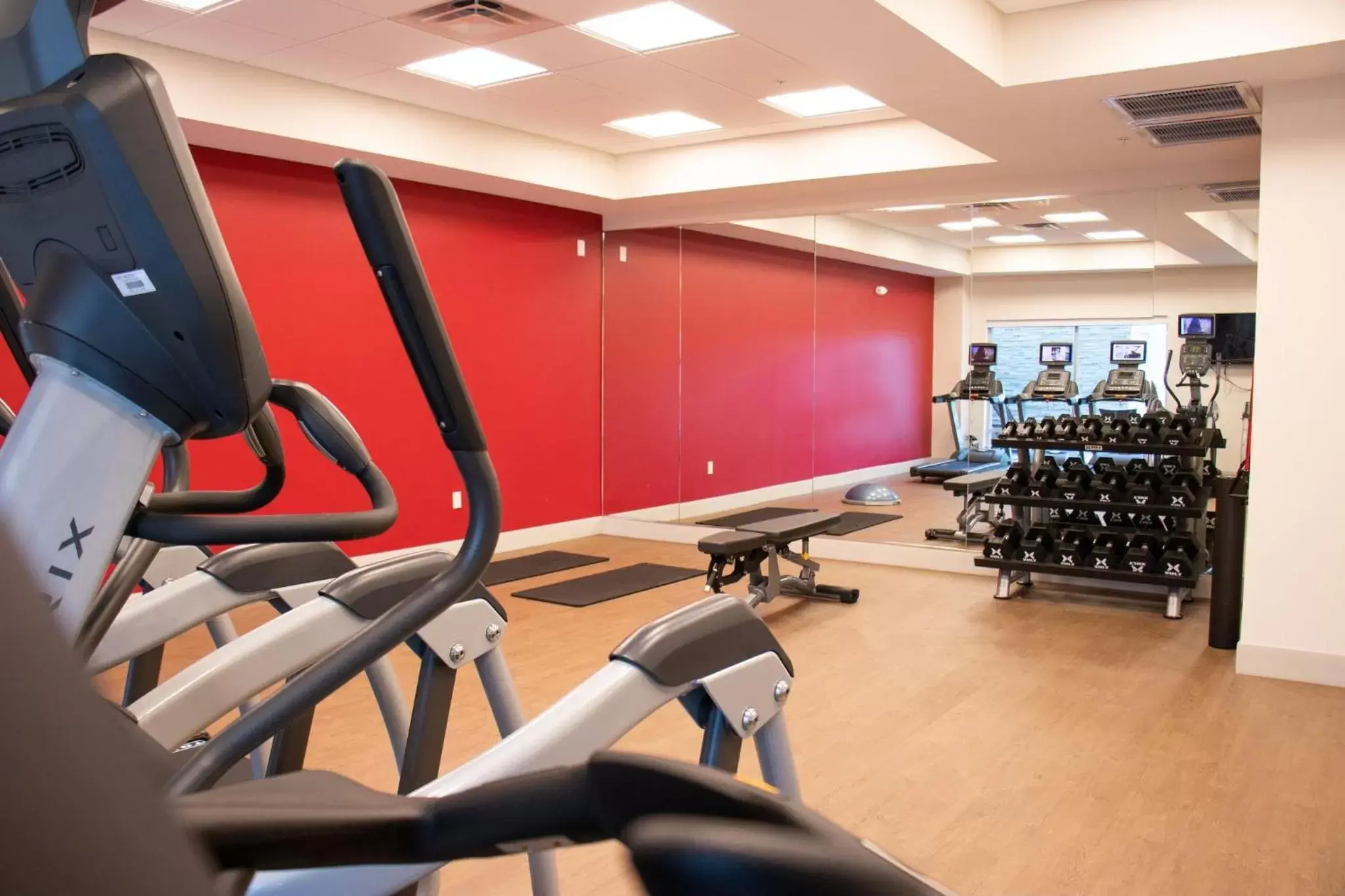 Spa and wellness centre/facilities, Fitness Center/Facilities in Holiday Inn Express & Suites - Tuscaloosa East - Cottondale, an IHG Hotel