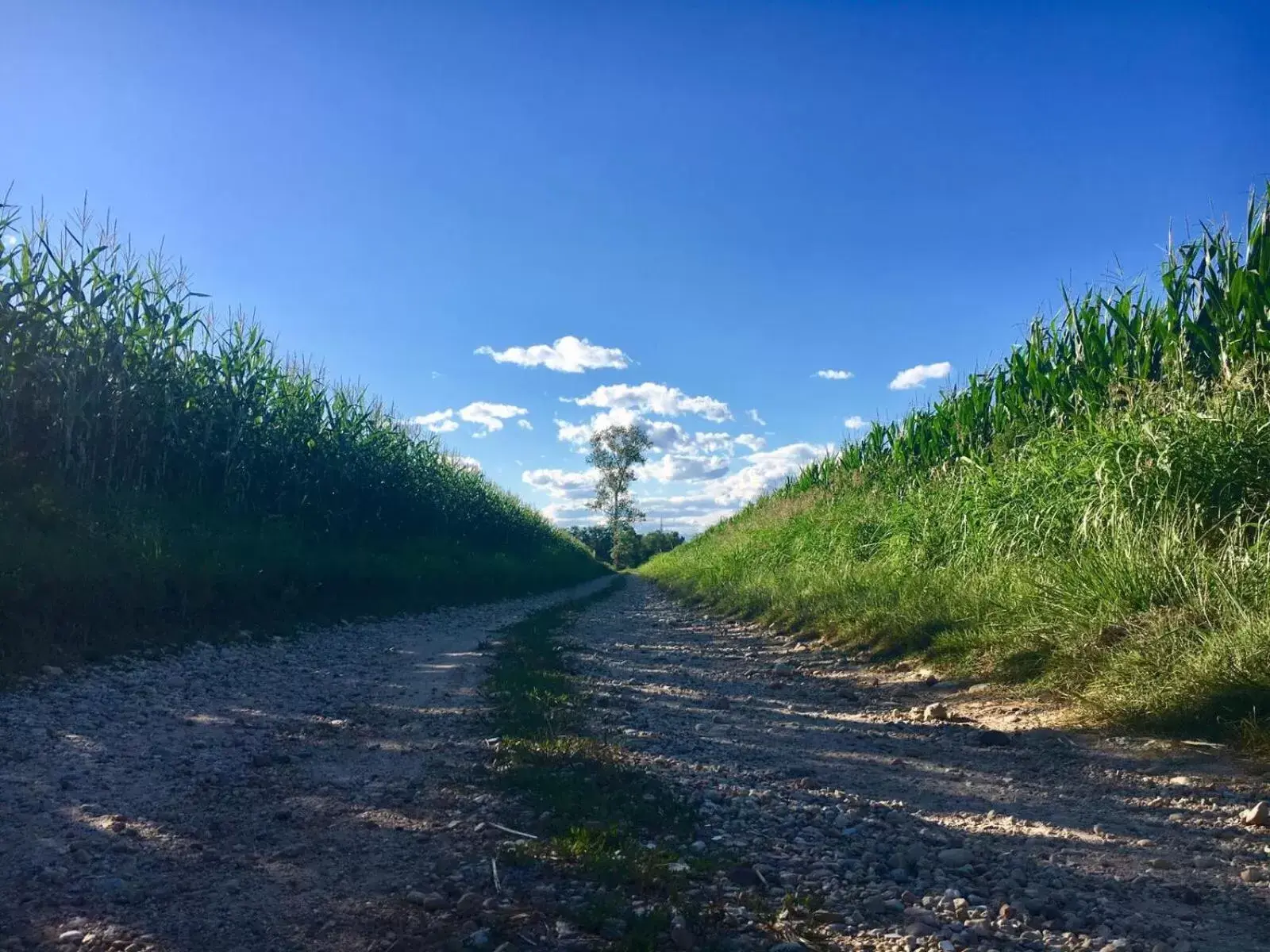 Day, Natural Landscape in Bed & Breakfast Il mio Gelso