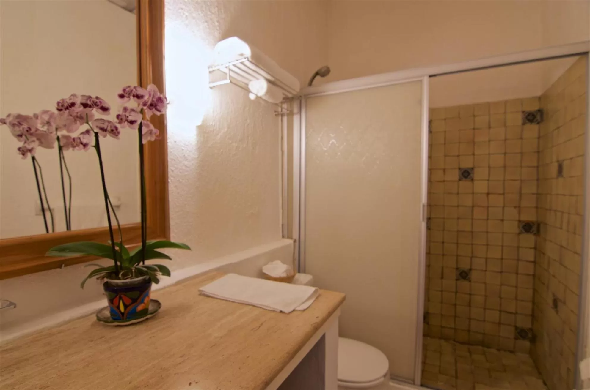 Shower, Bathroom in Hotel Mercurio - Gay Friendly