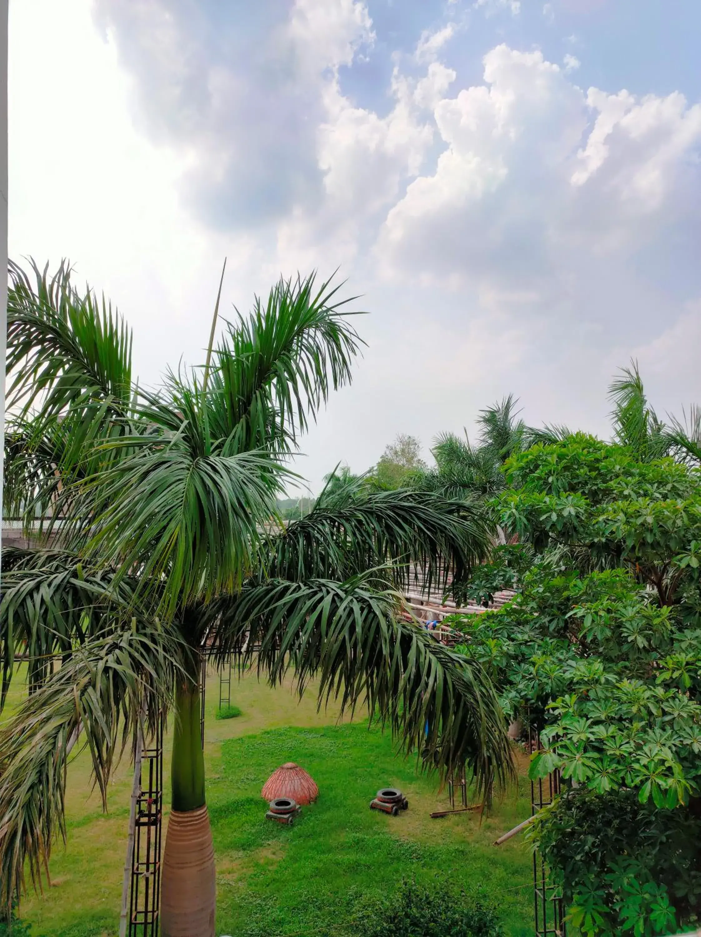 Garden view in Hotel Karan Vilas