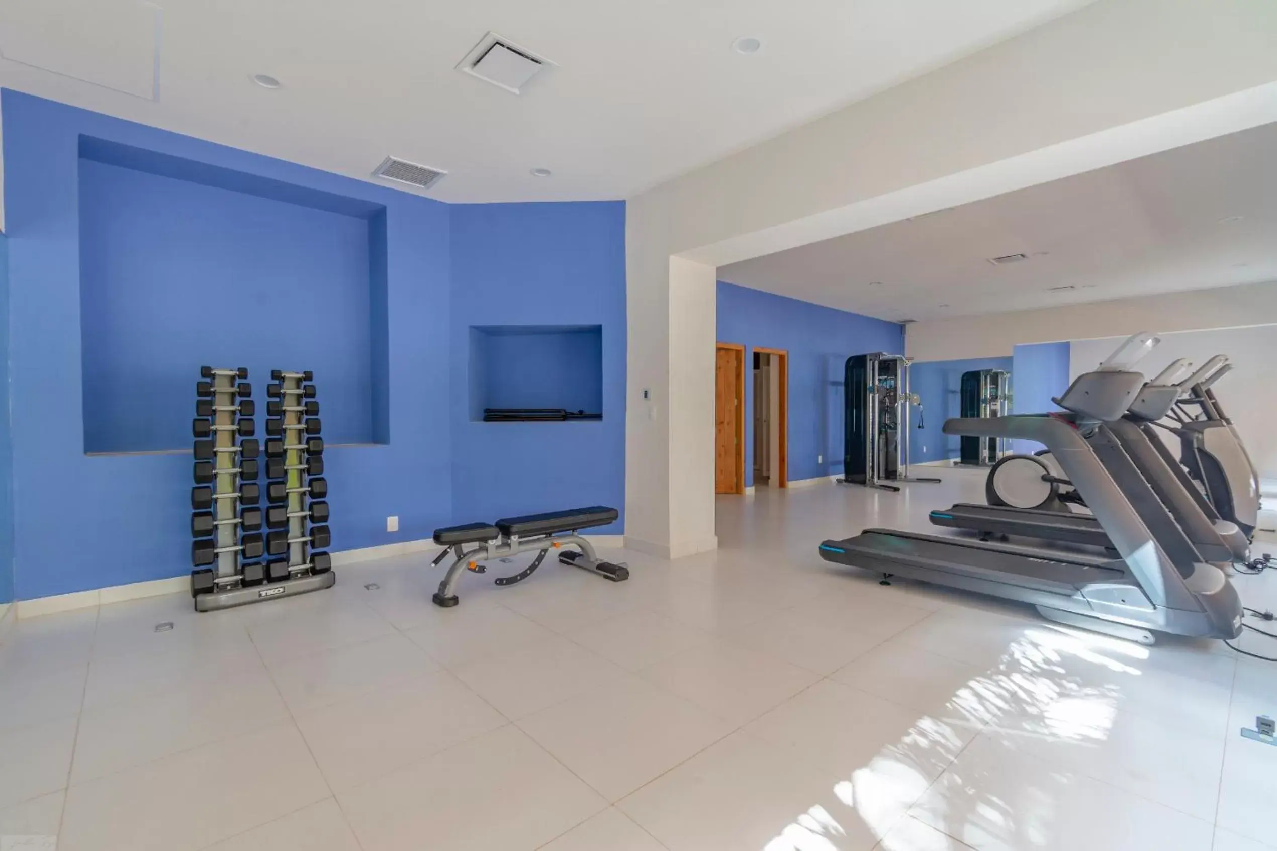Fitness centre/facilities, Fitness Center/Facilities in Puerto Aventuras Hotel & Beach Club
